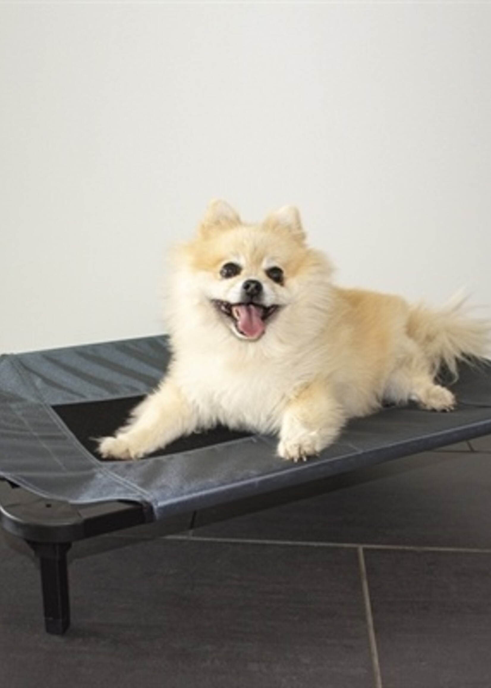 Duvo+ Duvo+ hondenstretcher relax grijs