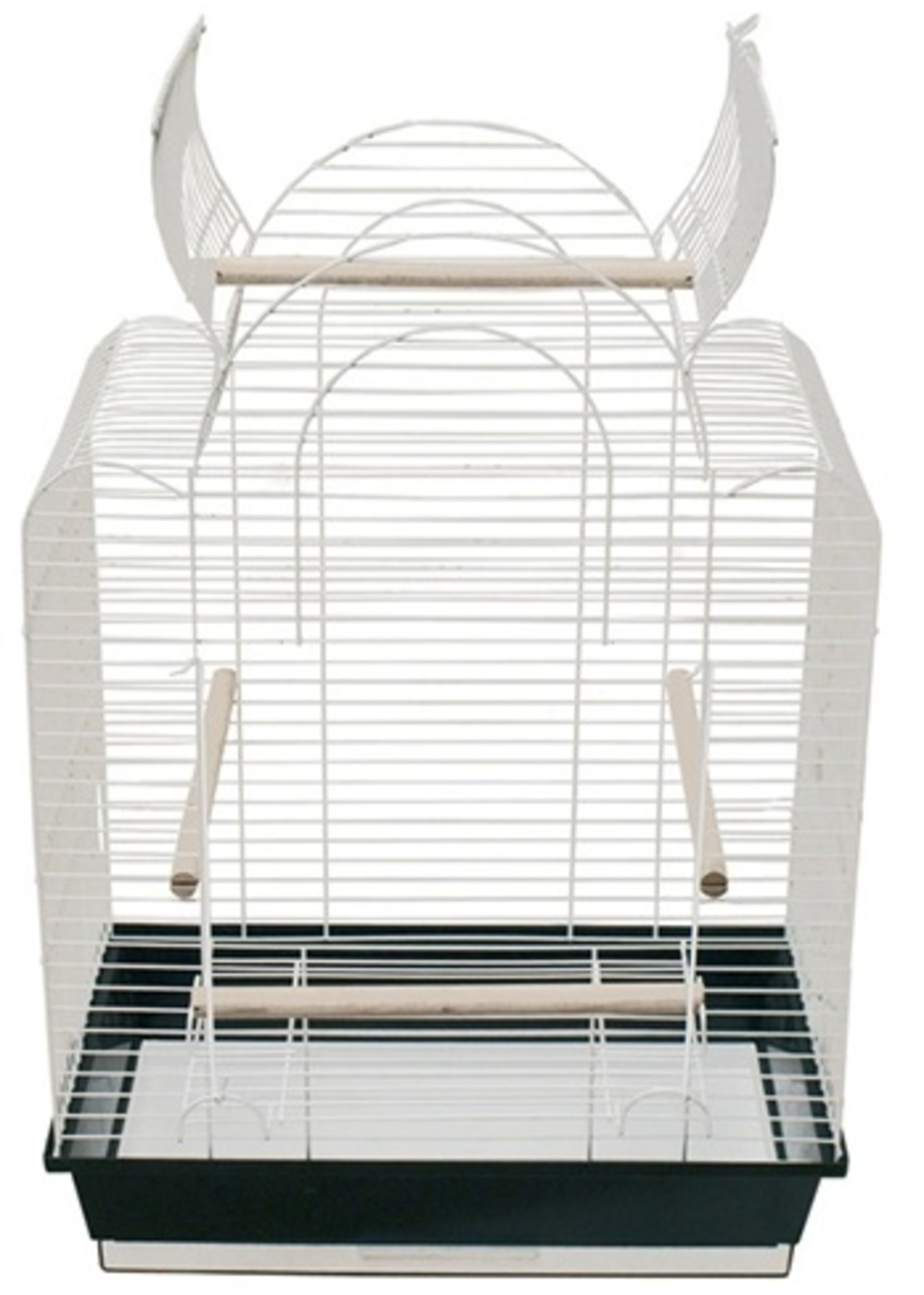 Az Az vogelkooi big ara 2 wit/zwart