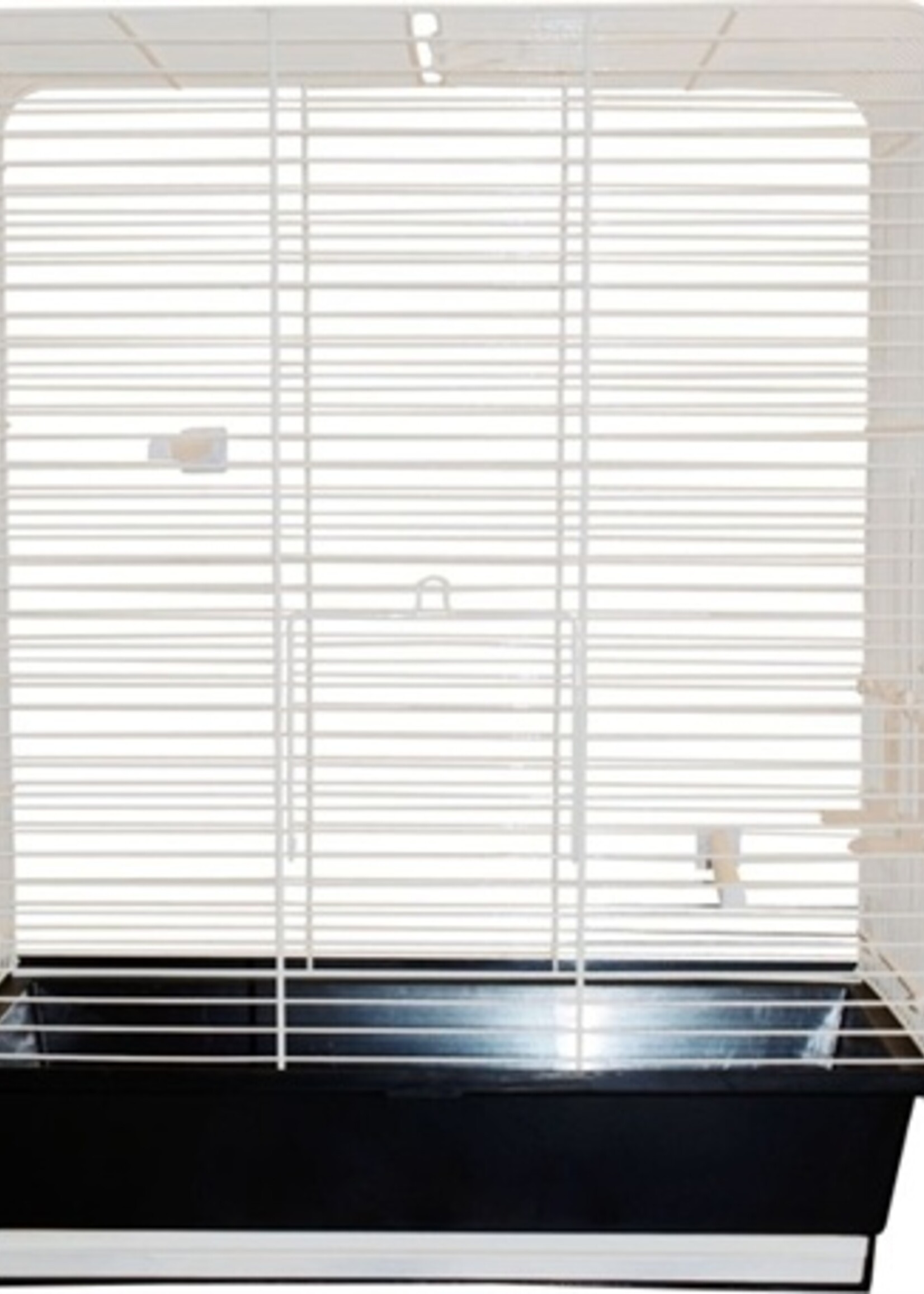 Az Az vogelkooi daria 2 wit/zwart