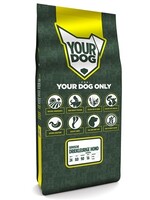 Yourdog Yourdog servische driekleurige hond senior