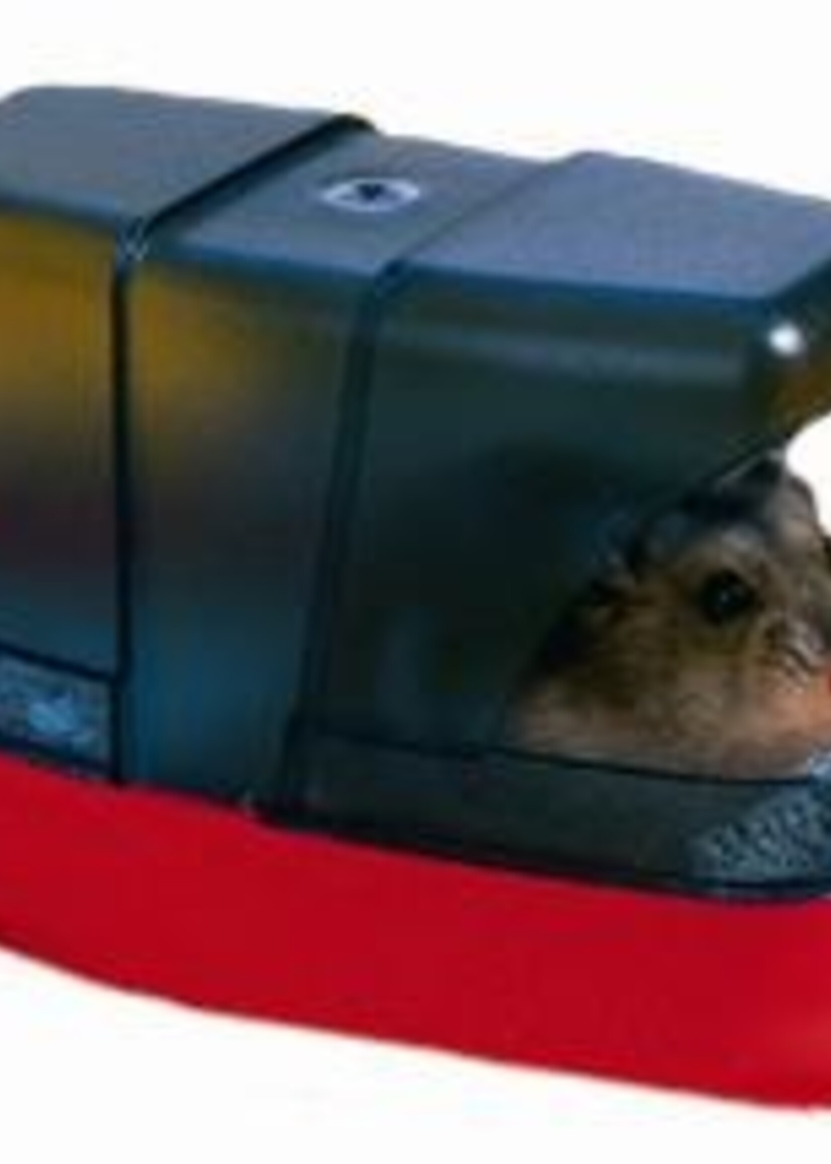 Savic Savic hamstertoilet