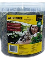 Utopia Utopia weegbree