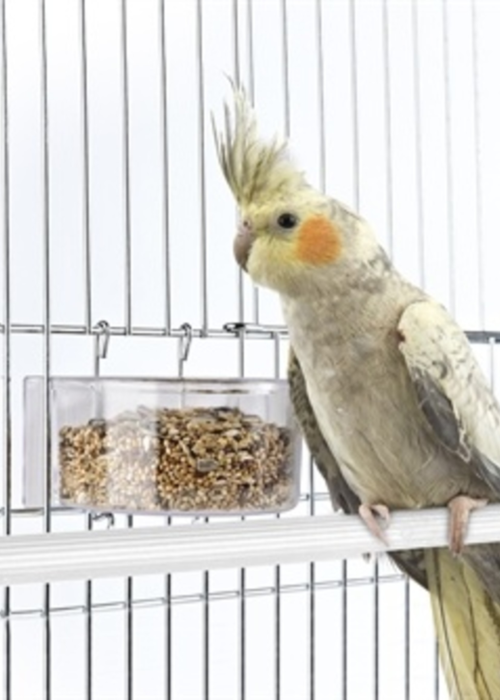 Imac Imac voerbak parrot