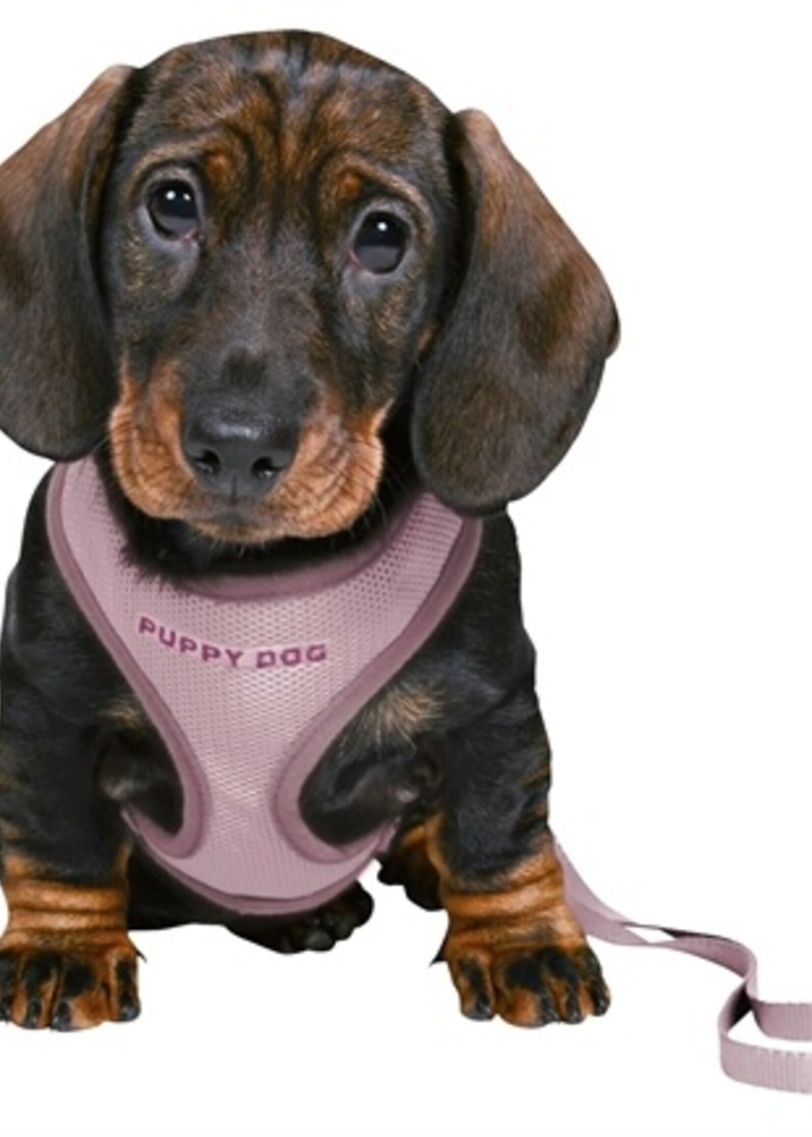 Trixie Trixie junior puppytuig soft met riem lila