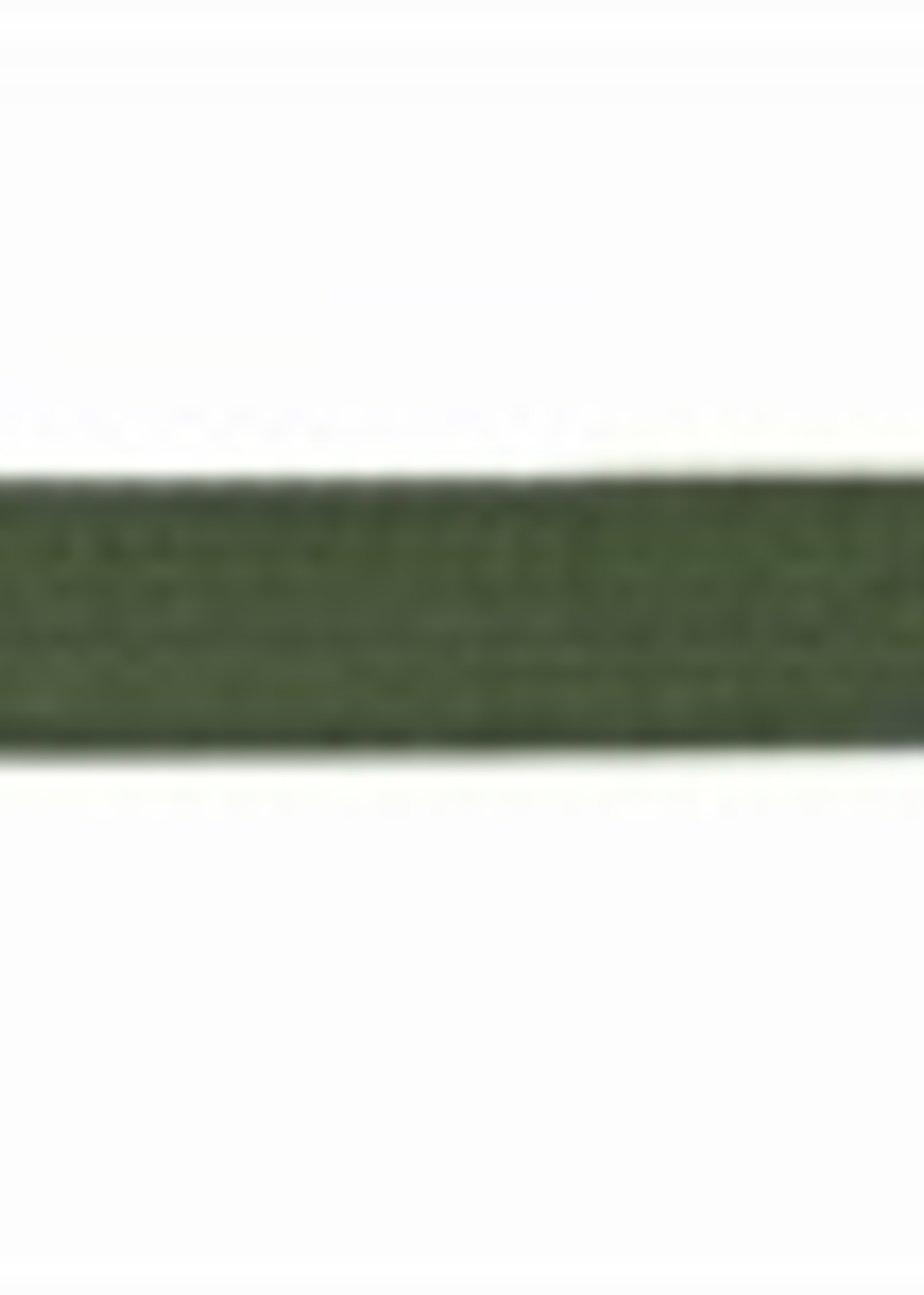 Trixie Trixie hondenriem sleeplijn singelband groen