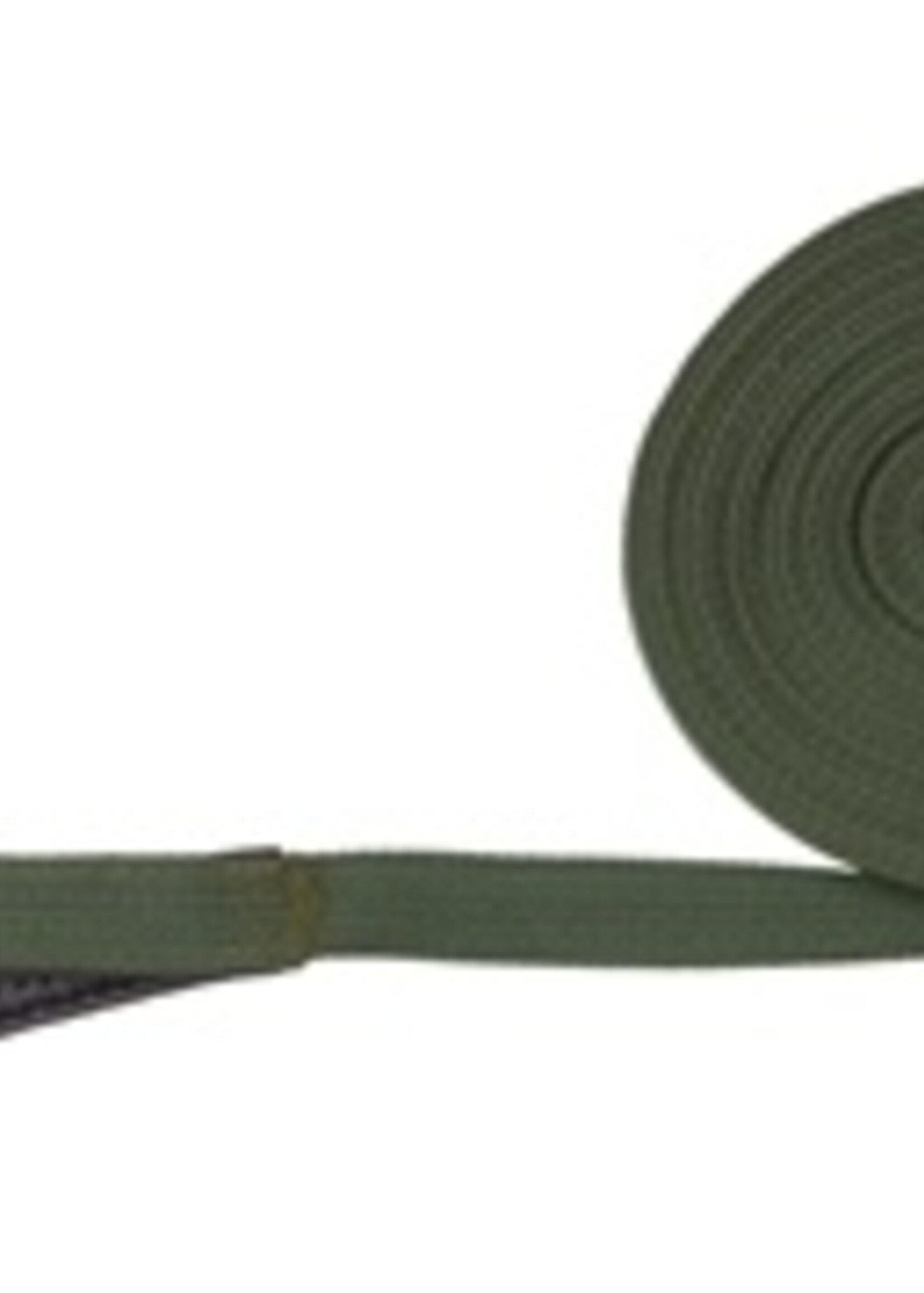 Trixie Trixie hondenriem sleeplijn singelband groen