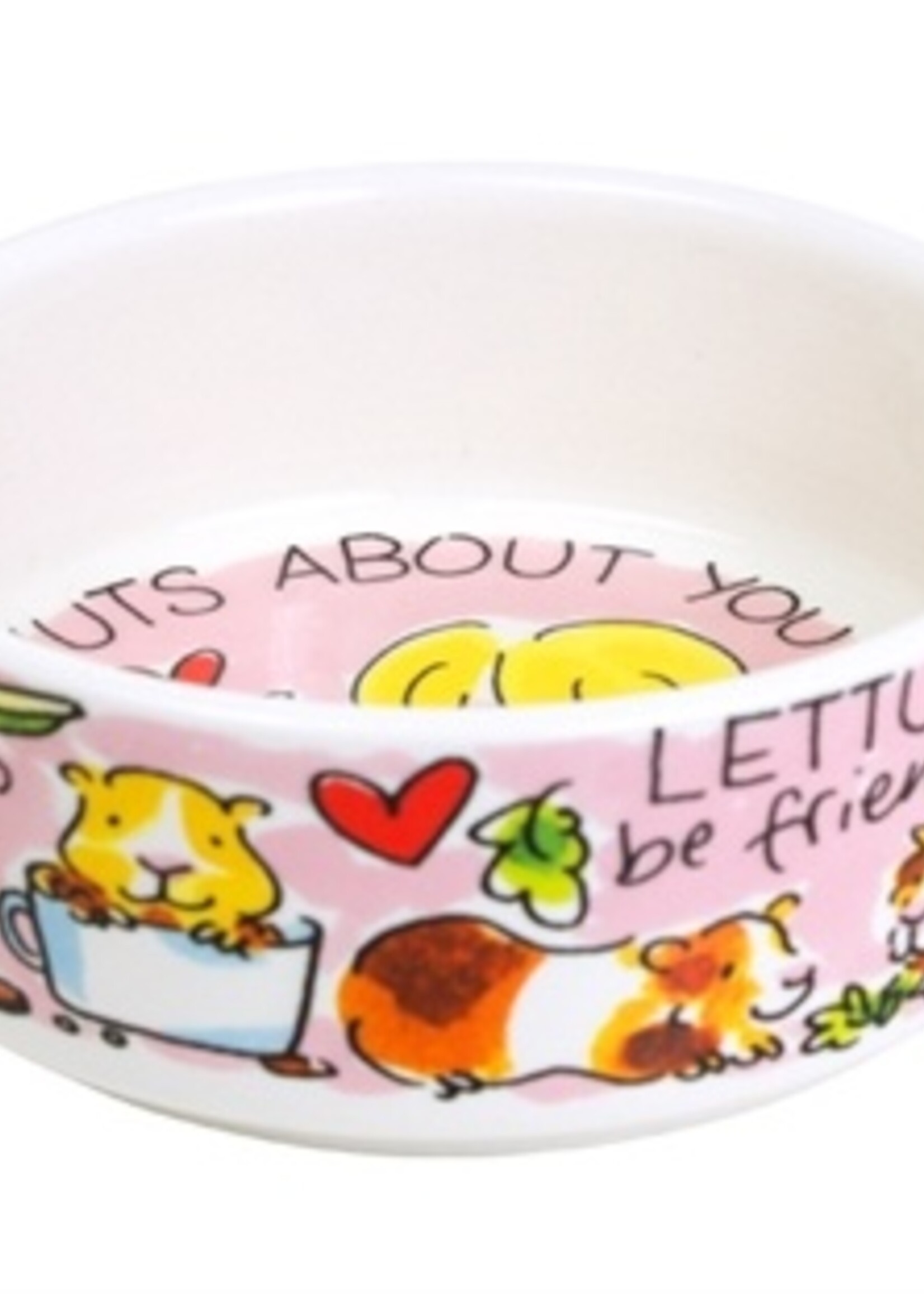 Blond amsterdam Blond voerbak knaagdier