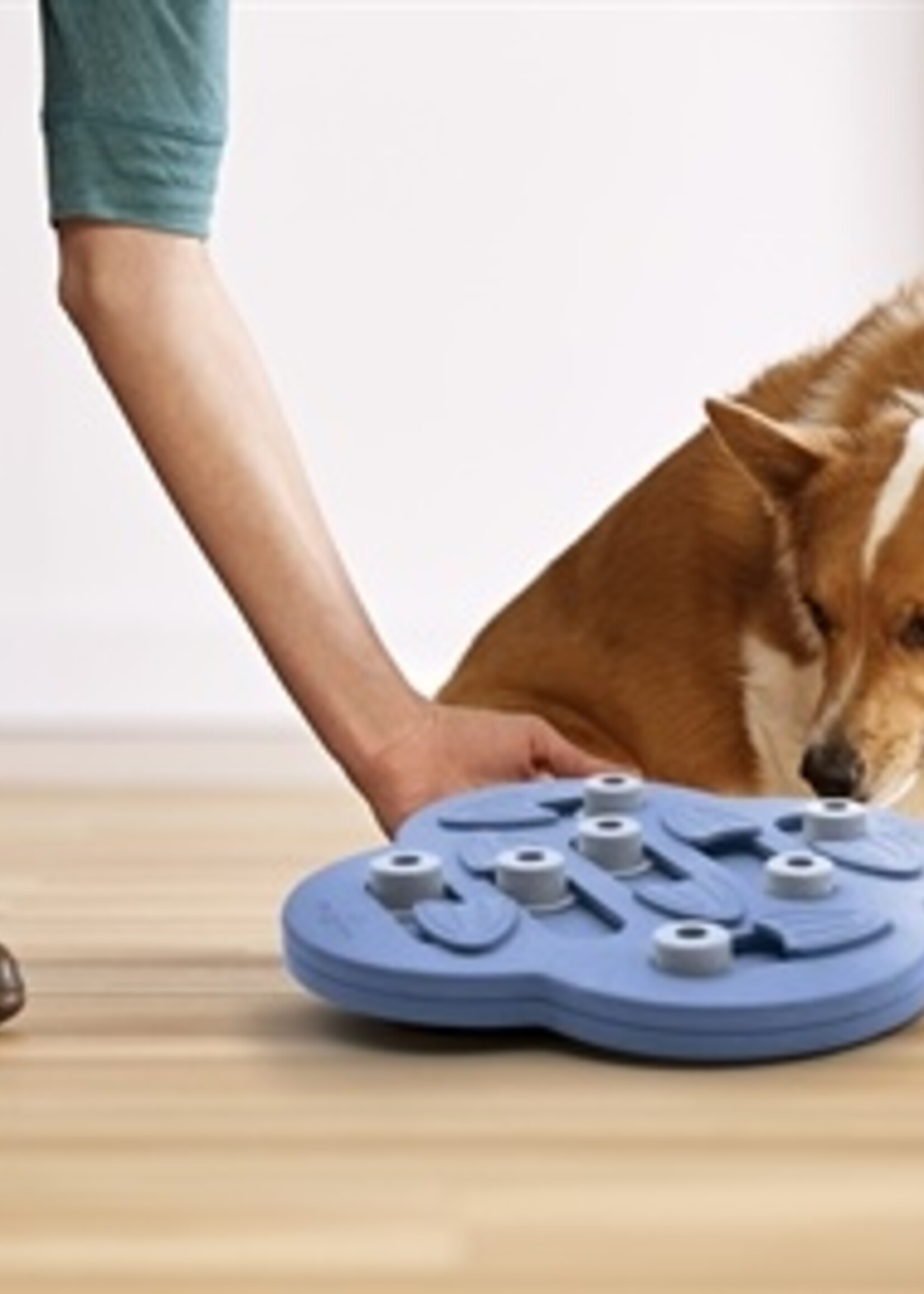 Nina ottosson Nina ottosson dog hide n slide composiet