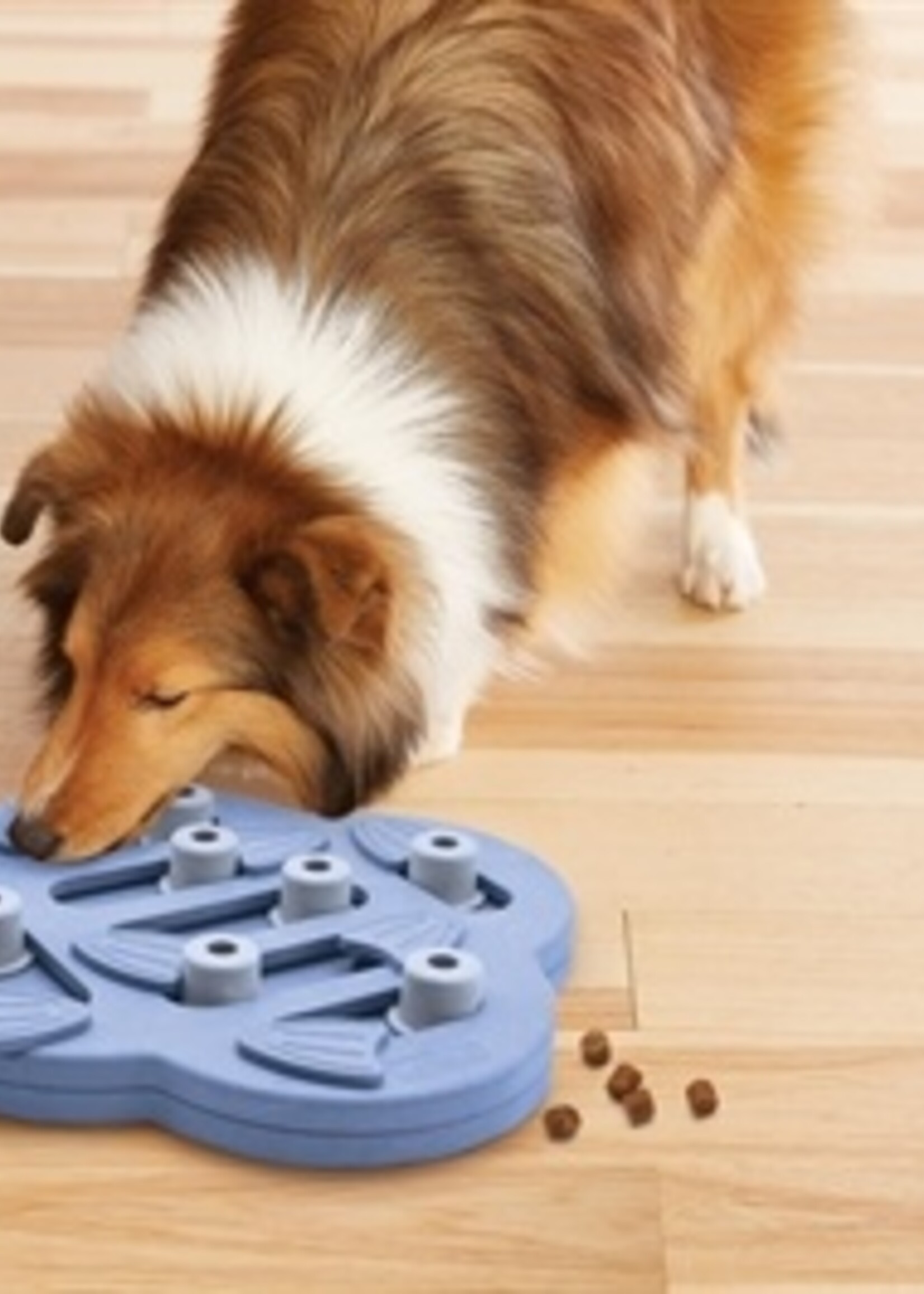 Nina ottosson Nina ottosson dog hide n slide composiet