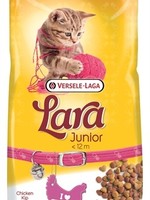 Lara Lara kitten