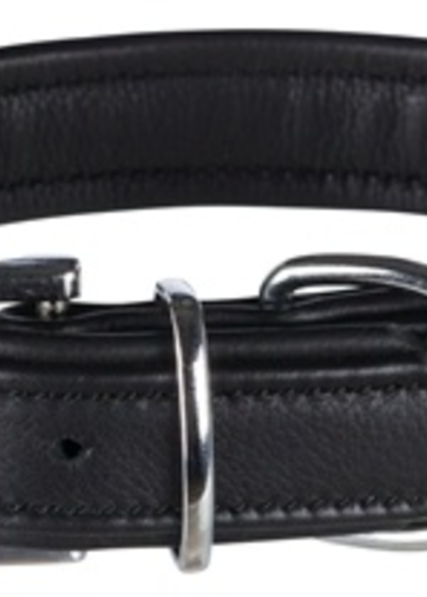 Trixie Trixie halsband hond active comfort leer zwart