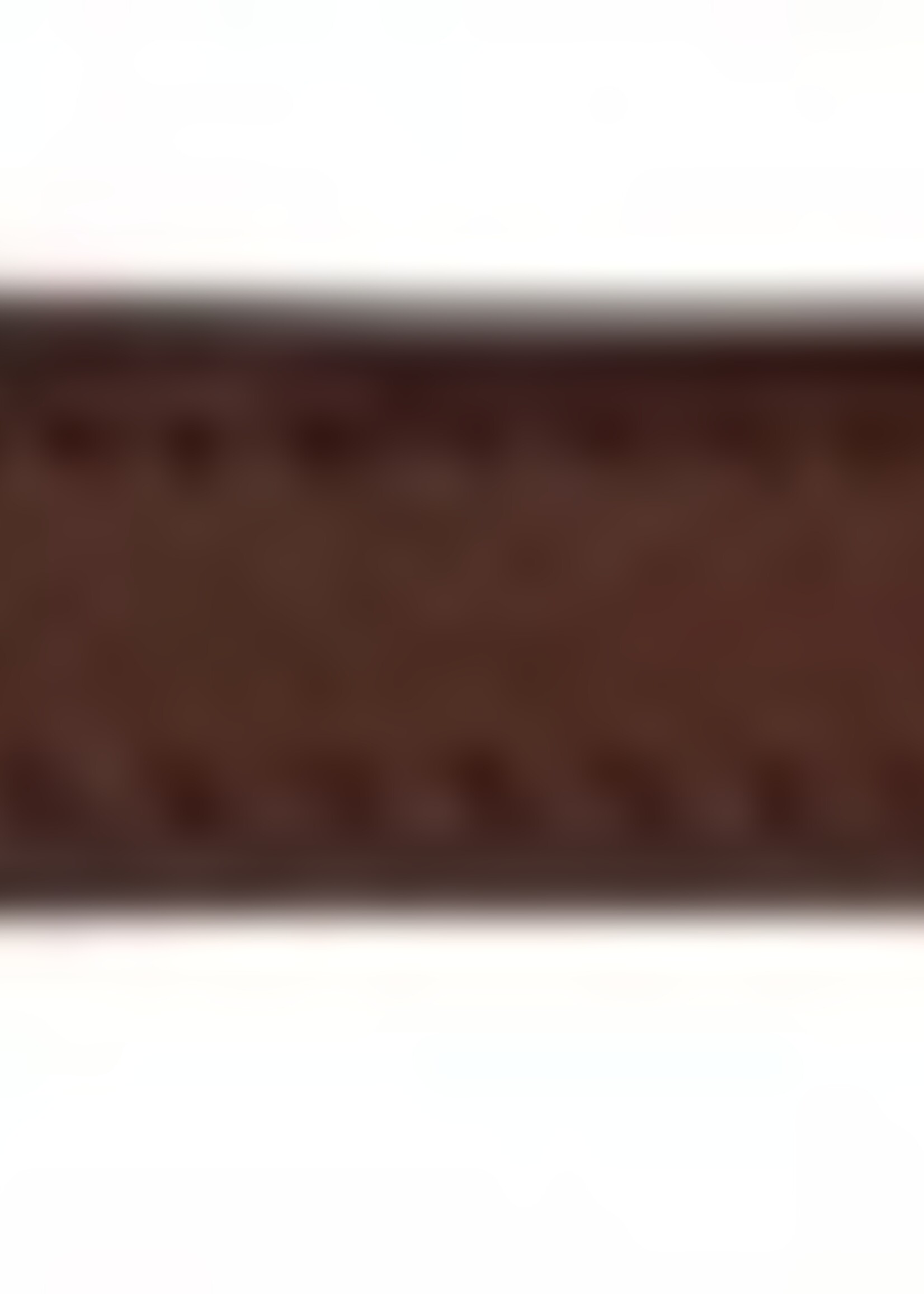 Trixie Trixie halsband hond active leer cognac