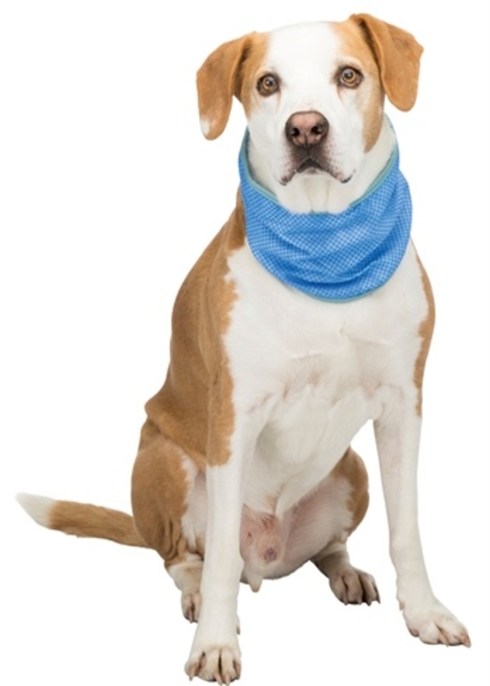 Trixie Trixie koel bandana pva blauw