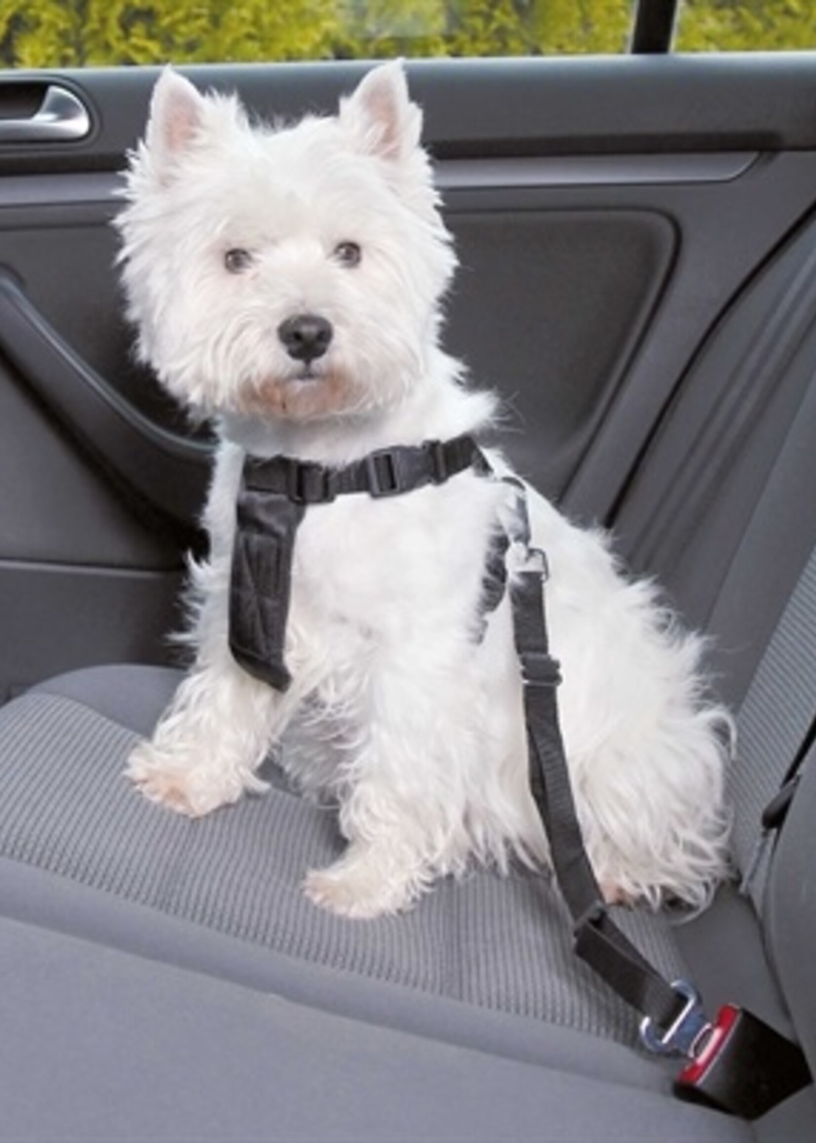 Trixie Trixie hondentuig auto inclusief gordel zwart