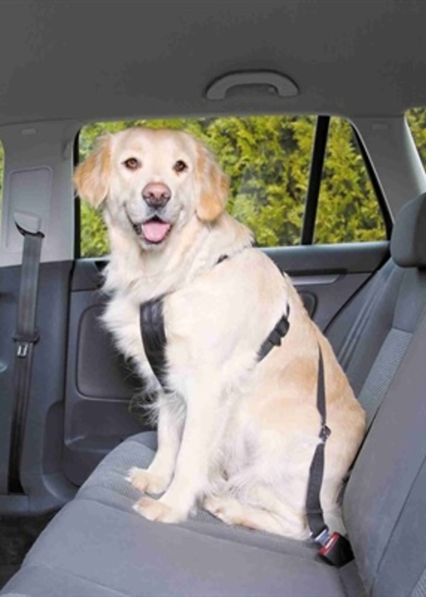 Trixie Trixie hondentuig auto inclusief gordel zwart