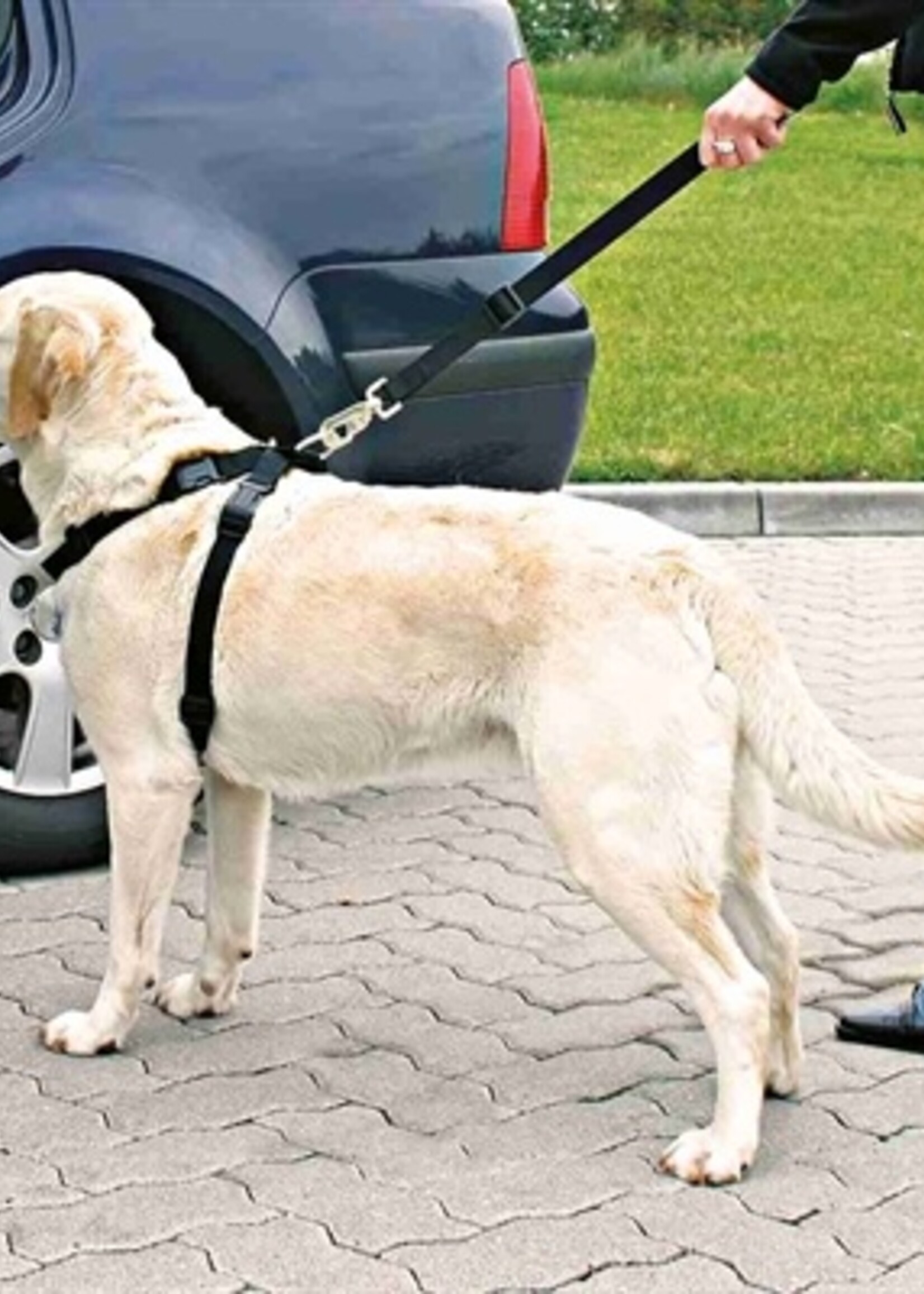 Trixie Trixie hondentuig auto inclusief gordel zwart
