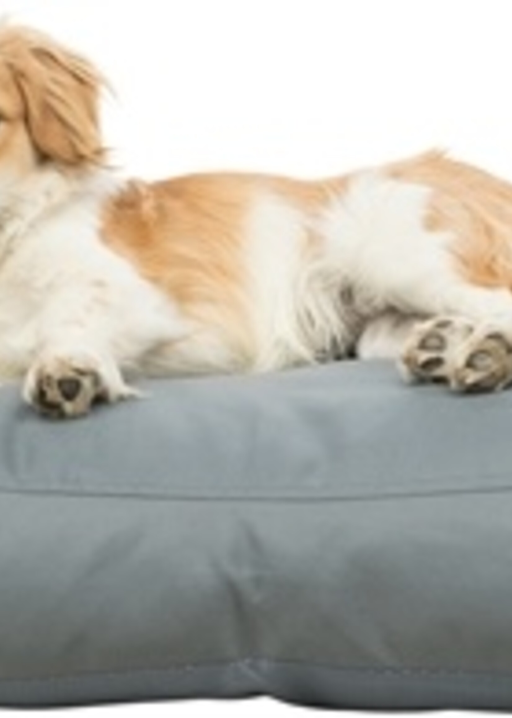 Trixie Trixie hondenkussen jano grijs