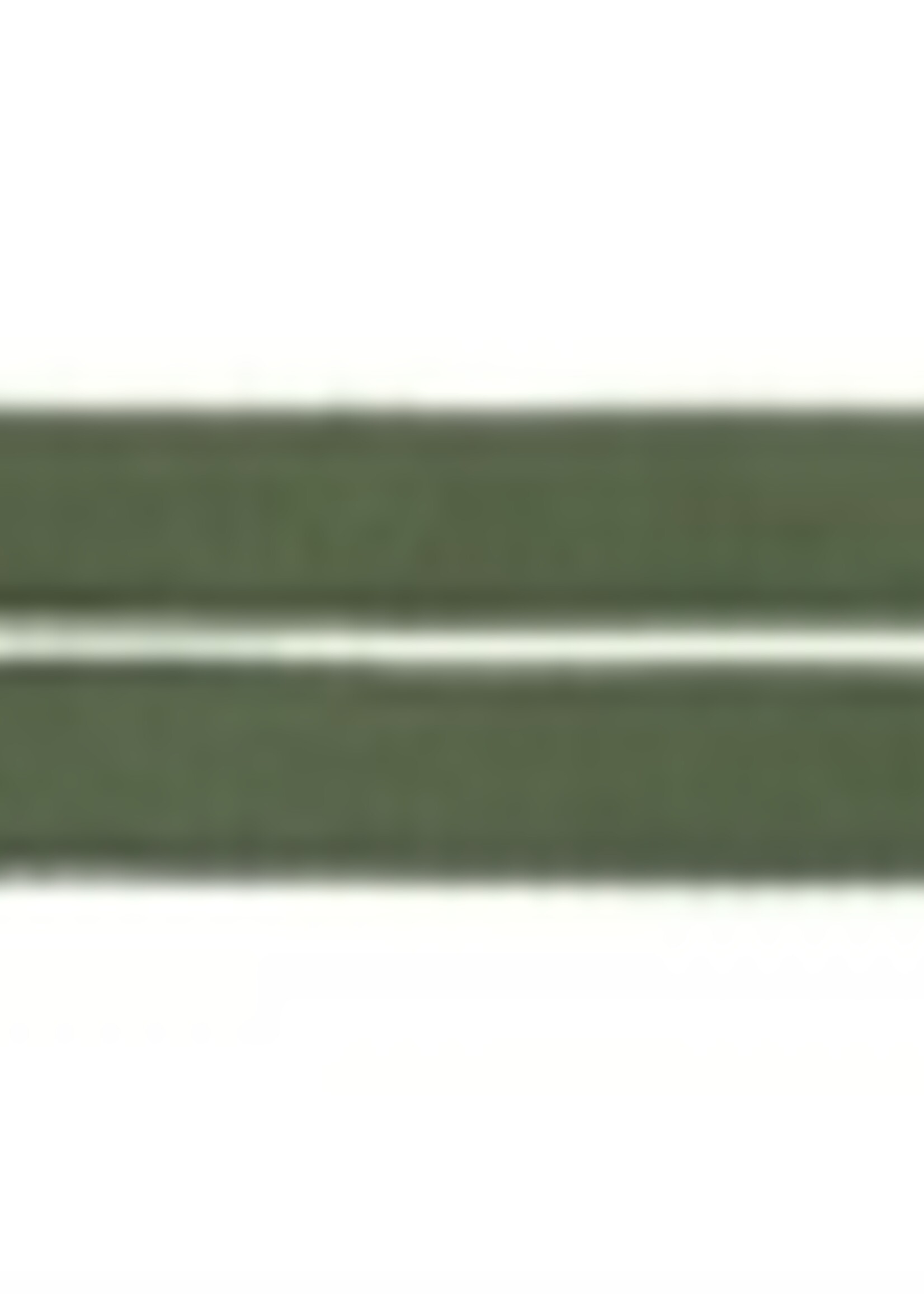 Trixie Trixie hondenriem premium dubbelgestikt verstelbaar bosgroen