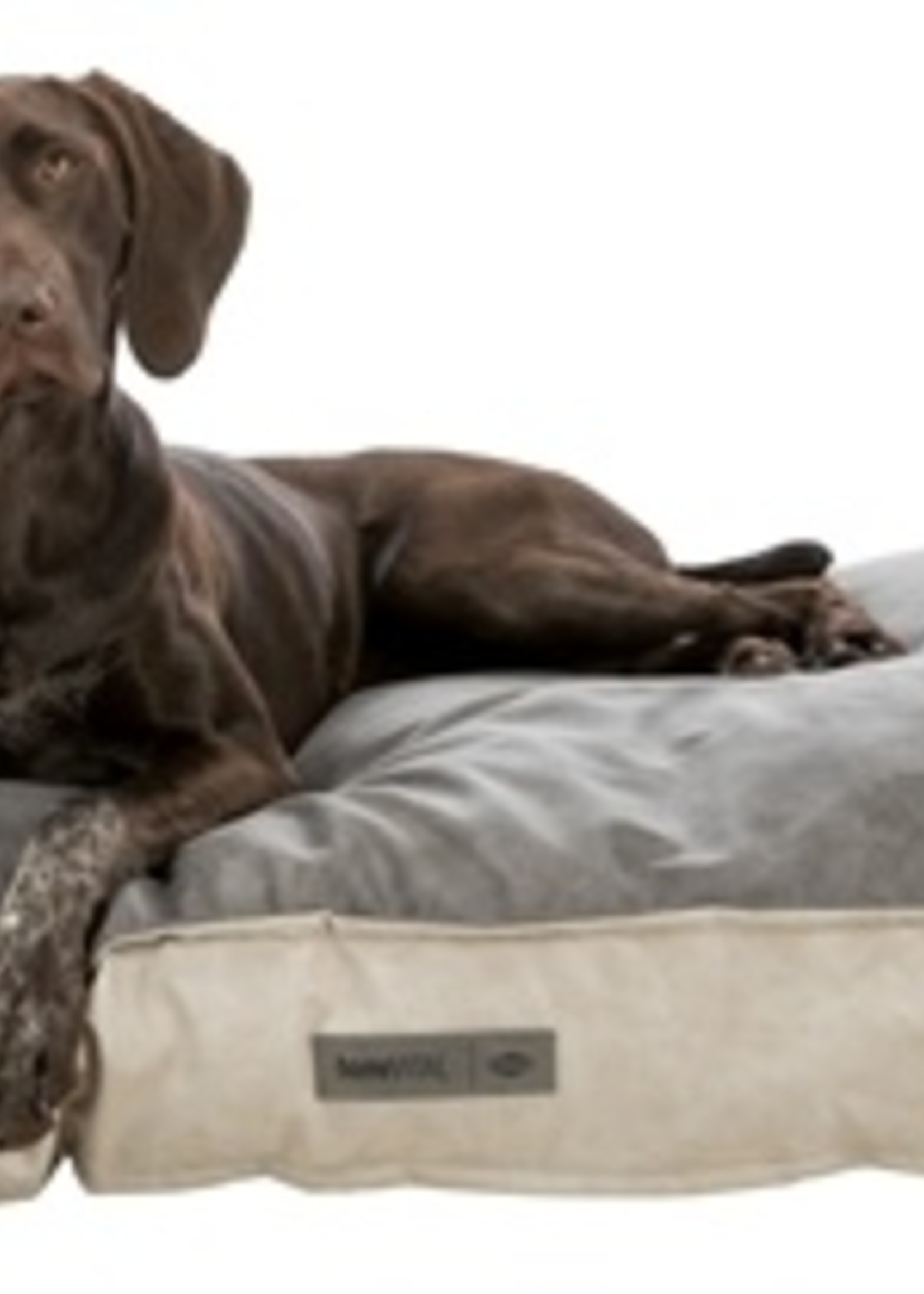 Trixie Trixie vital kussen calito hoekig beige / grijs