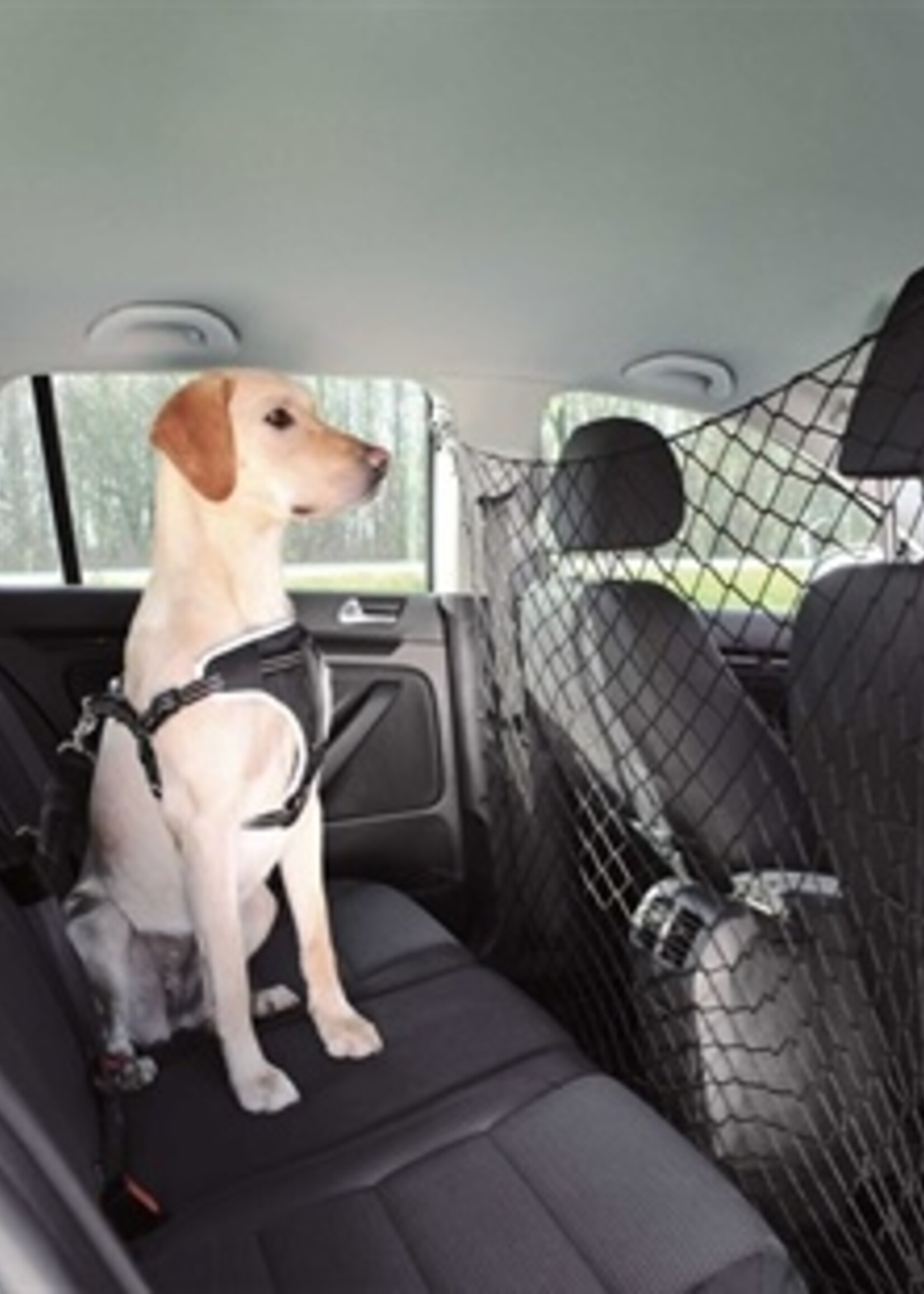 Trixie Trixie net voor auto zwart