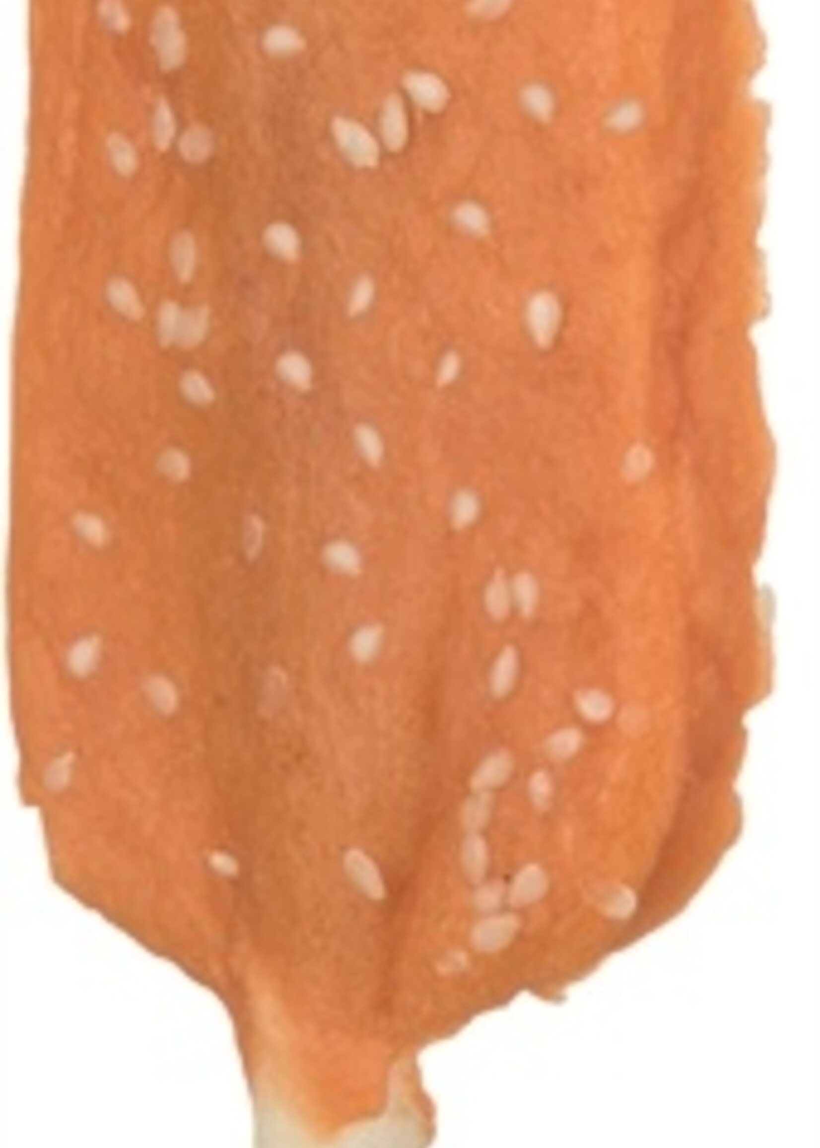 Trixie Trixie denta fun chicken pops met sesam