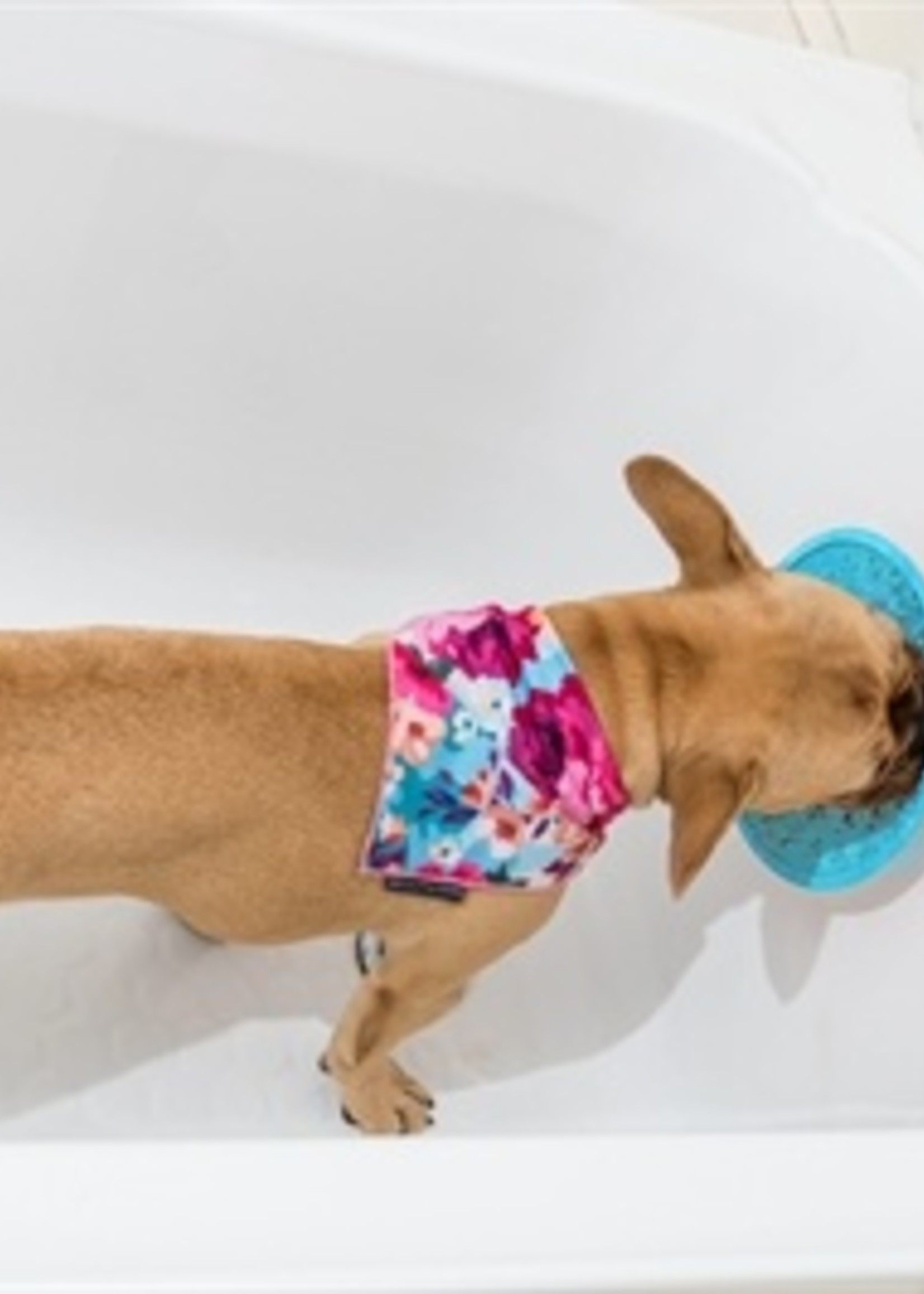 Lickimat Lickimat splash turquoise