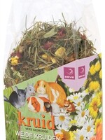 Esve Esve kruid weide kruiden