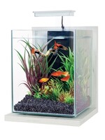 Zolux Zolux aquarium kit jalaya antique wit