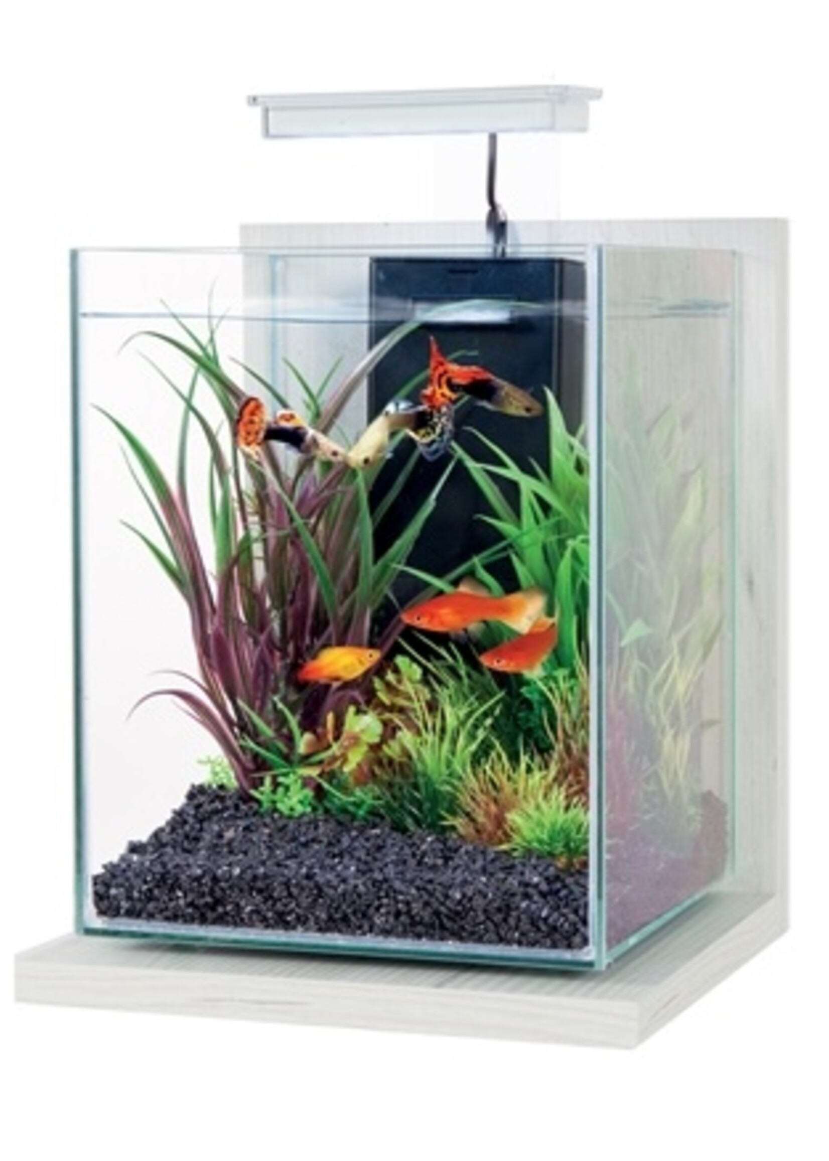 Zolux Zolux aquarium kit jalaya antique wit
