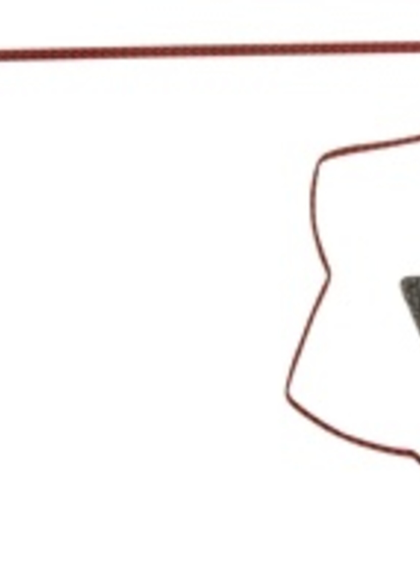 Schulze Schulze hengel hond catch me