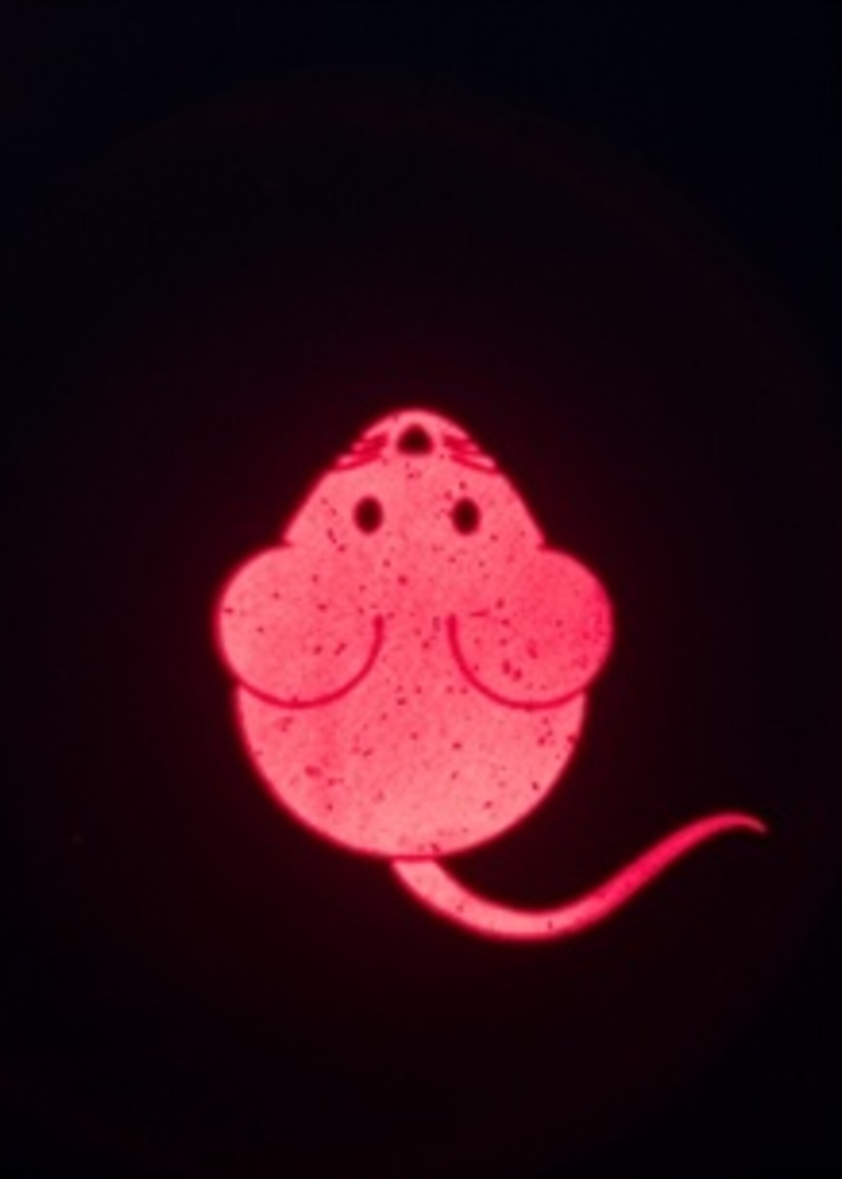 Trixie Trixie laserspeelgoed catch the light muis usb oplaadbaar