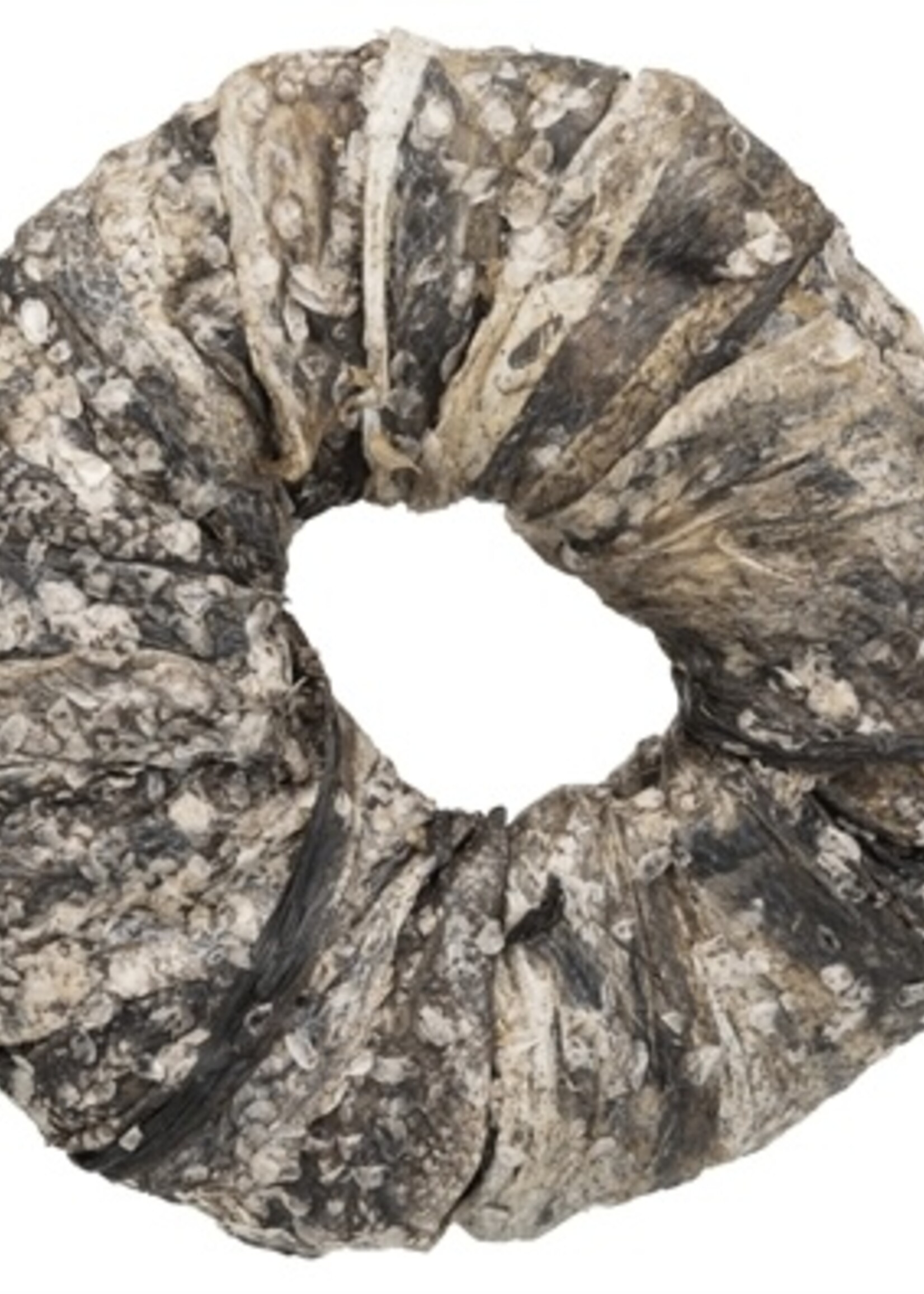 Trixie Trixie denta fun kauwring vis