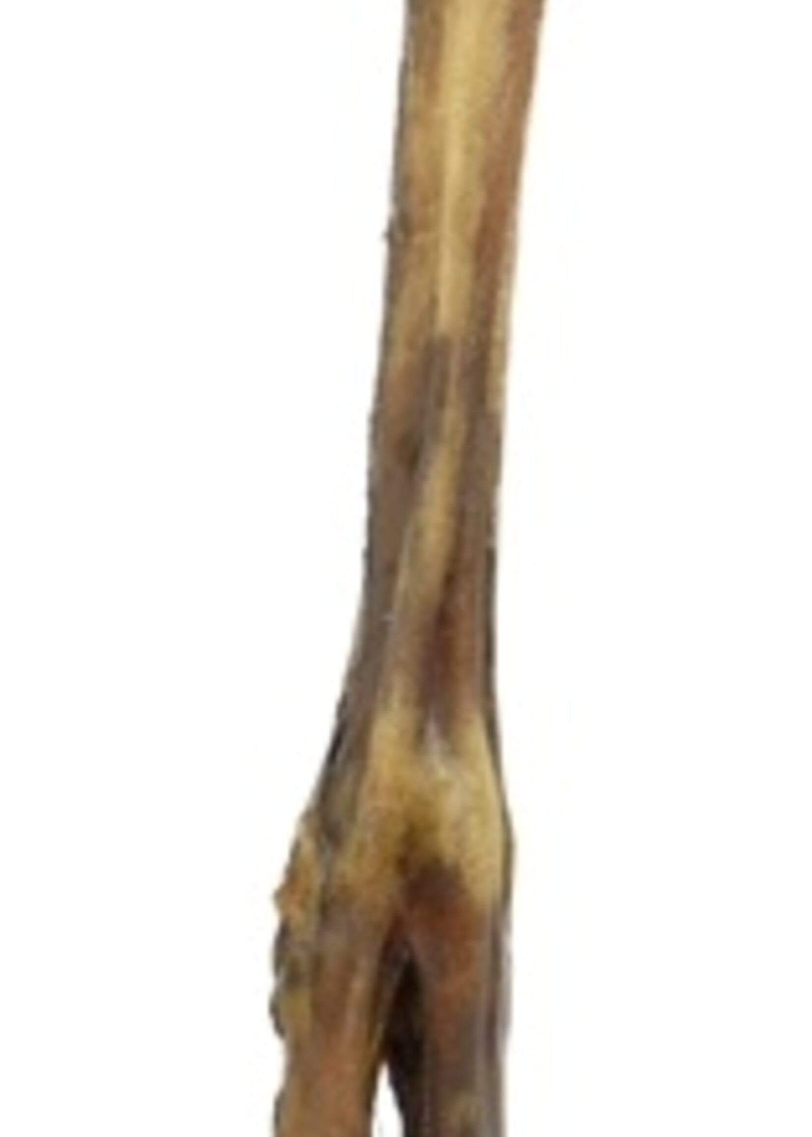 I am I am hertenpoot