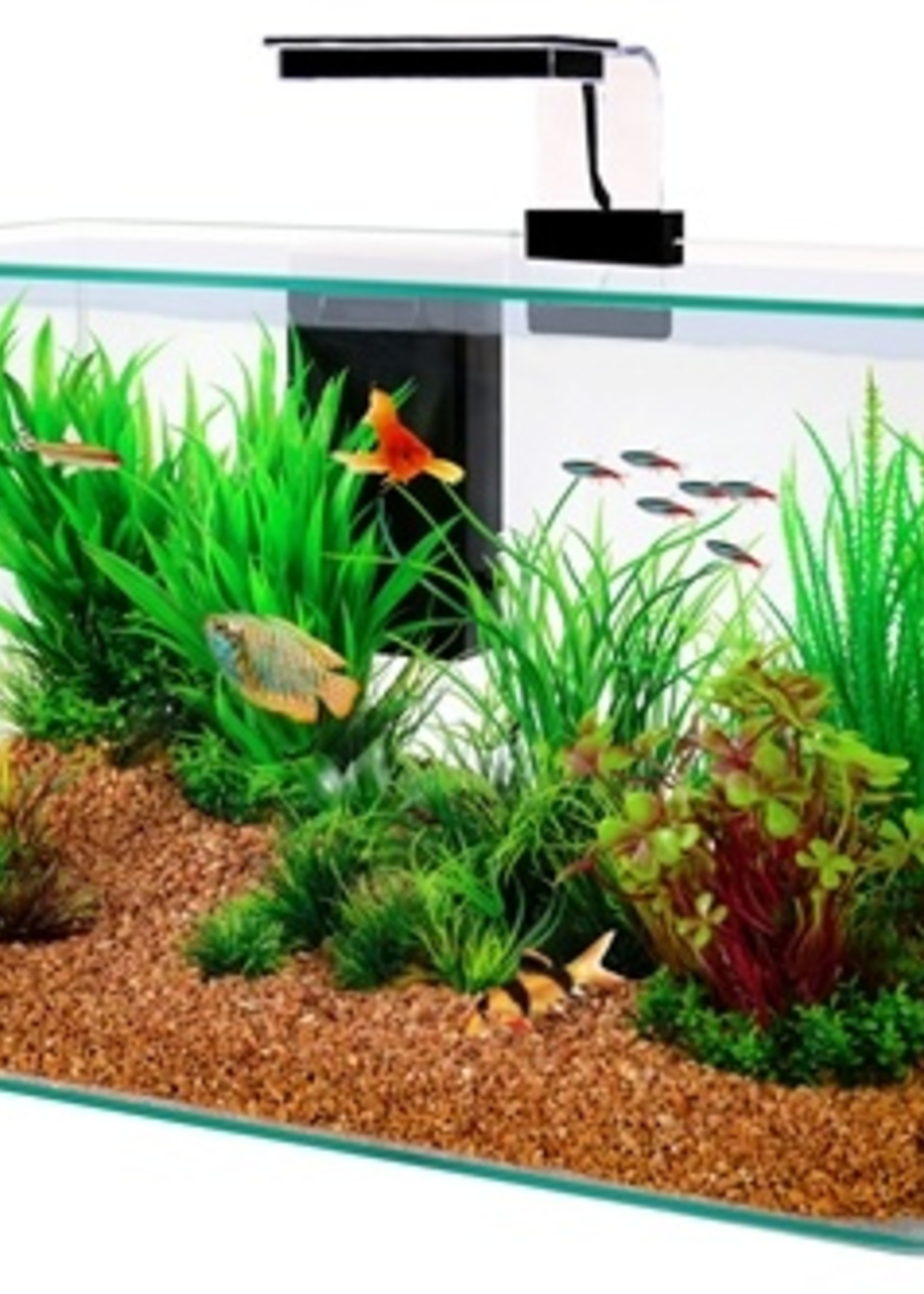 Zolux Zolux aquarium clear kit zwart