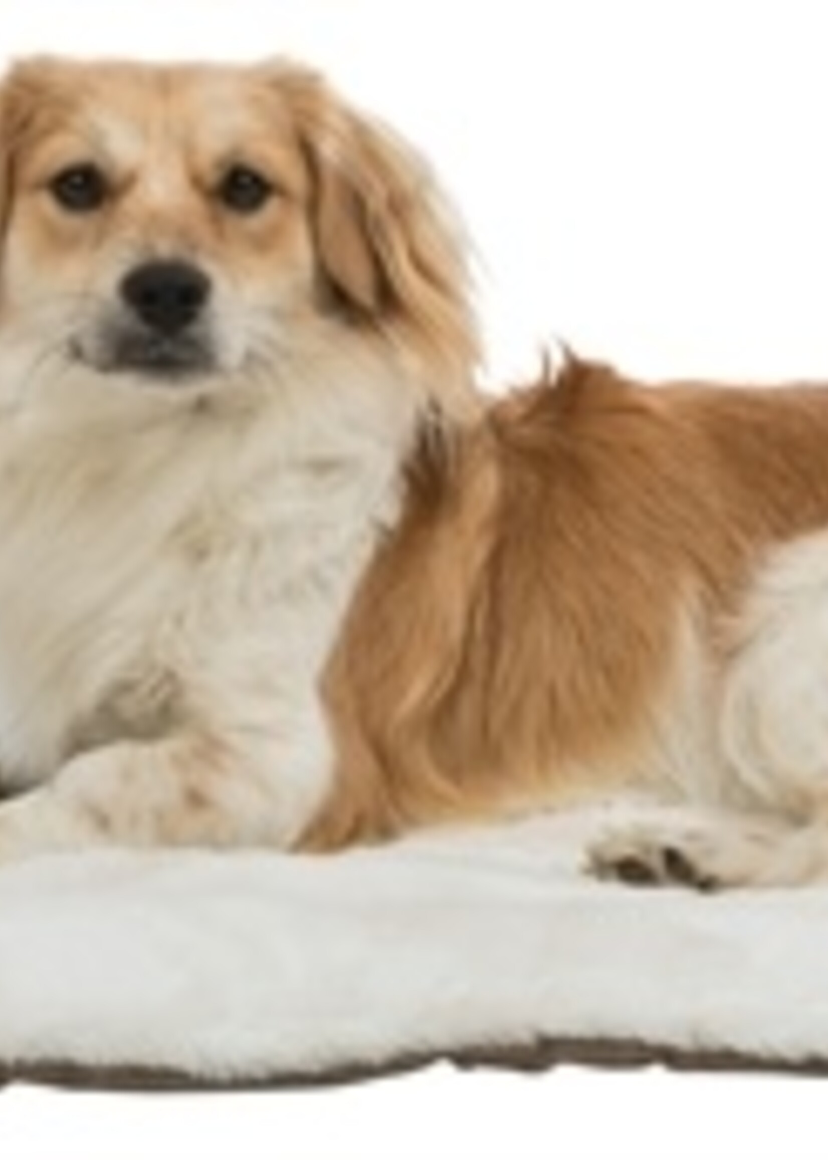 Trixie Trixie ligmat nelli wit - taupe / lichtbruin