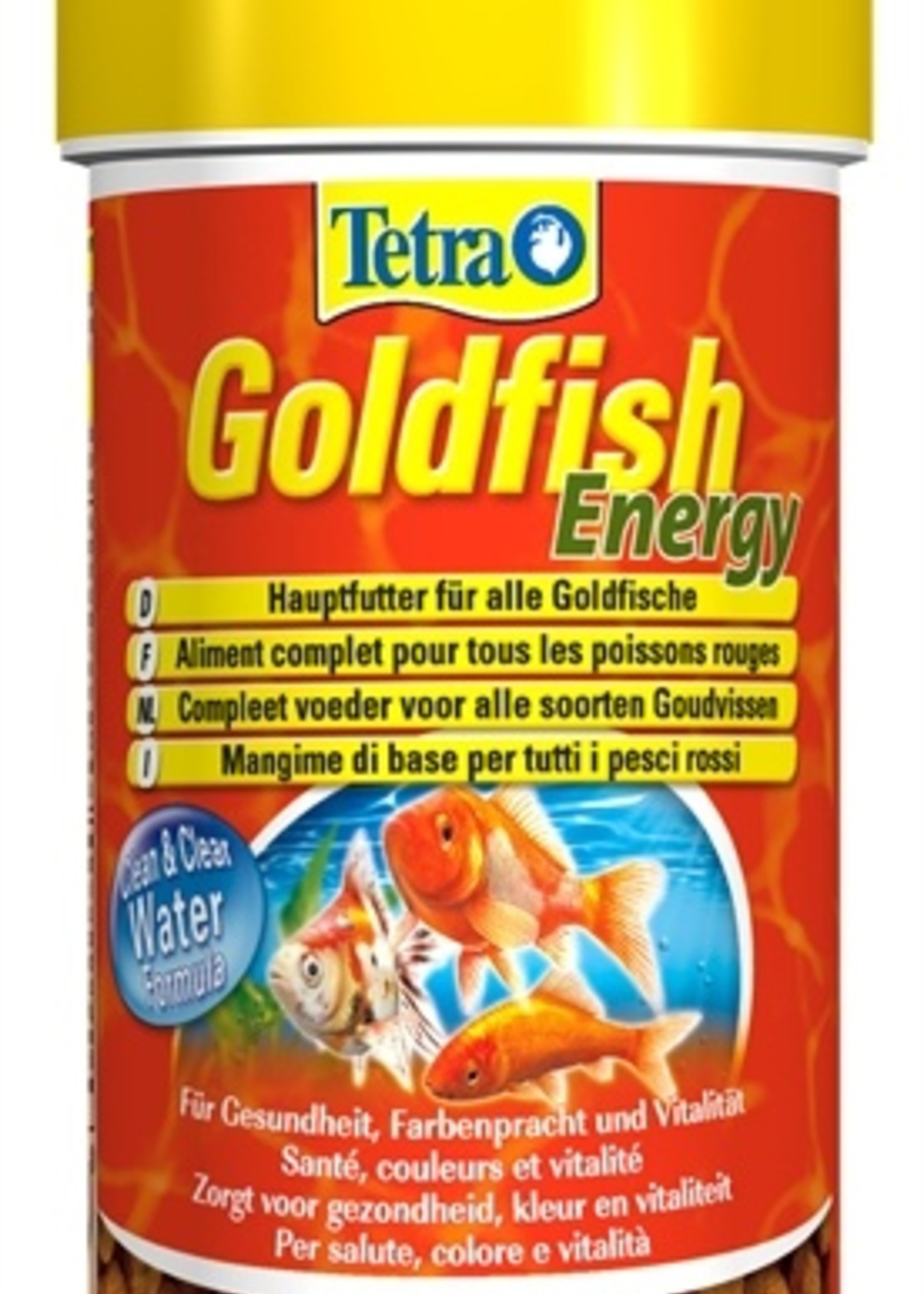 Tetra Tetra animin goldfish energy