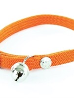Martin sellier Halsband kat elastisch nylon oranje