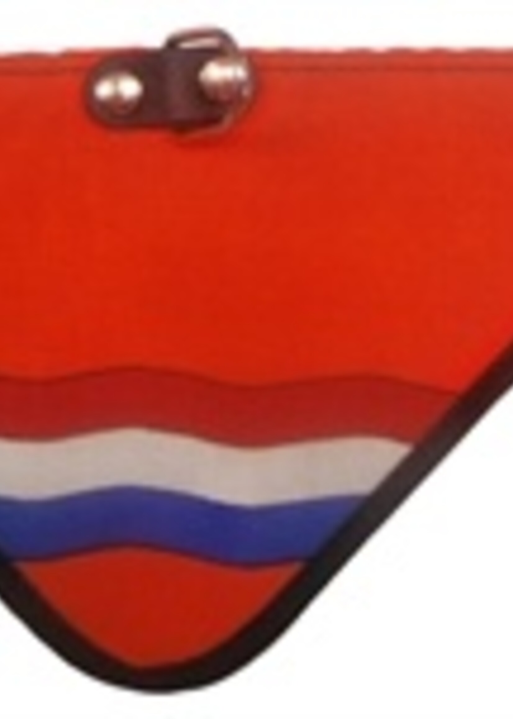 Merkloos Halsband met zakdoek nl vlag