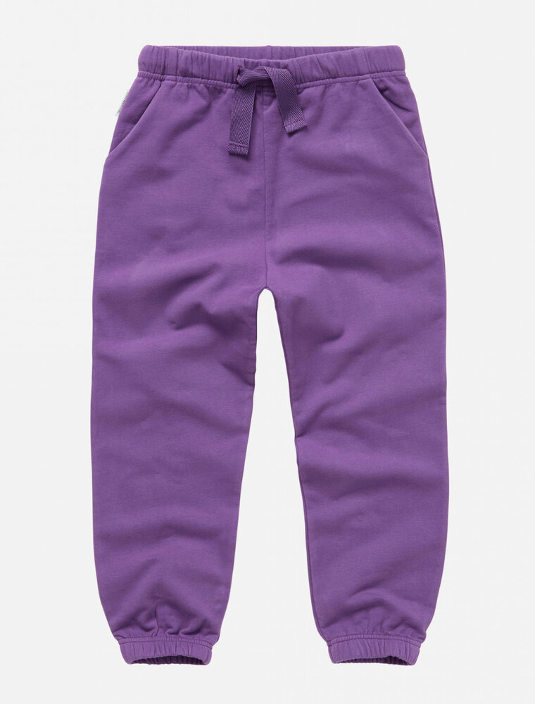 Mingo sweatpants purple sapphire