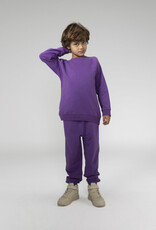Mingo raglan sweater purple sapphire