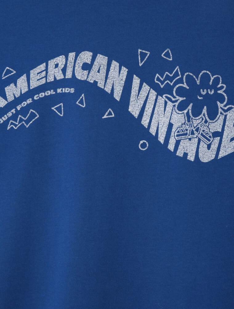 American Vintage fizvalley blue roi vintage