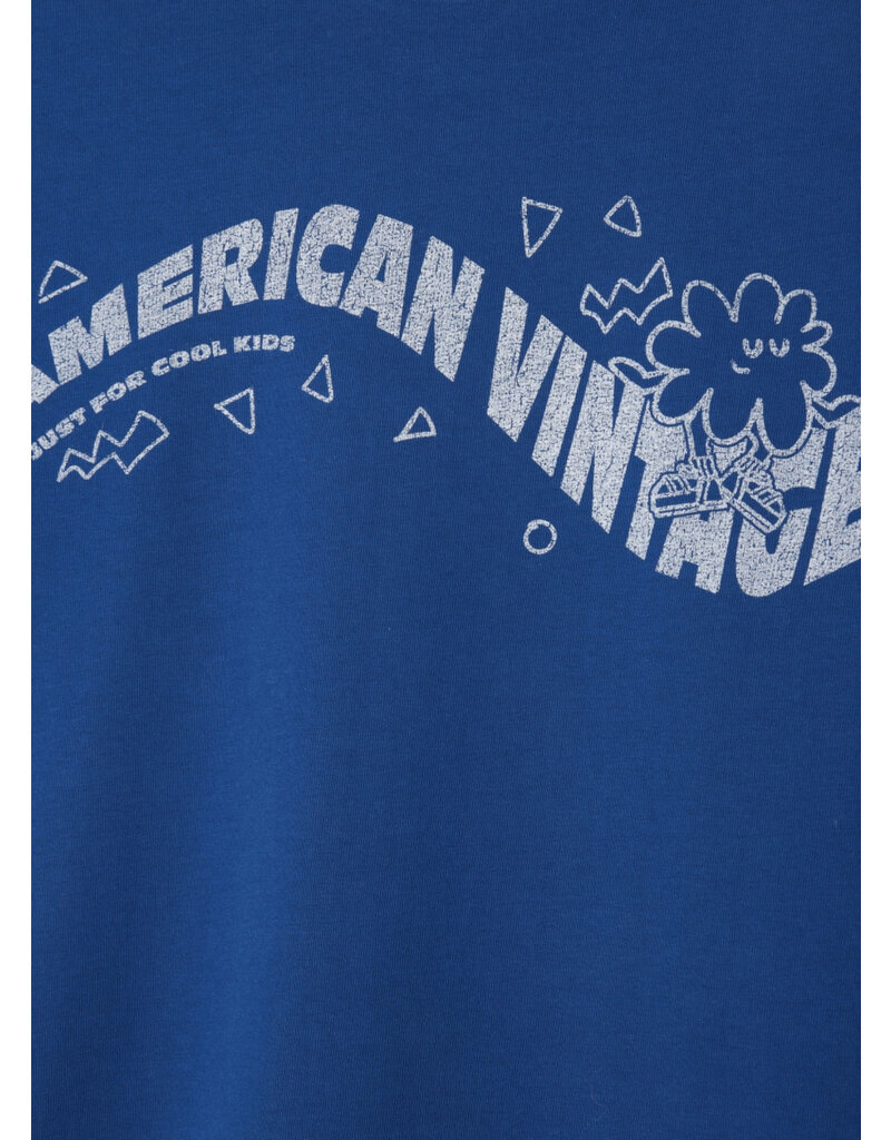 American Vintage fizvalley blue roi vintage