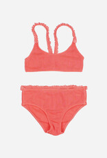 Buho rib bikini coral