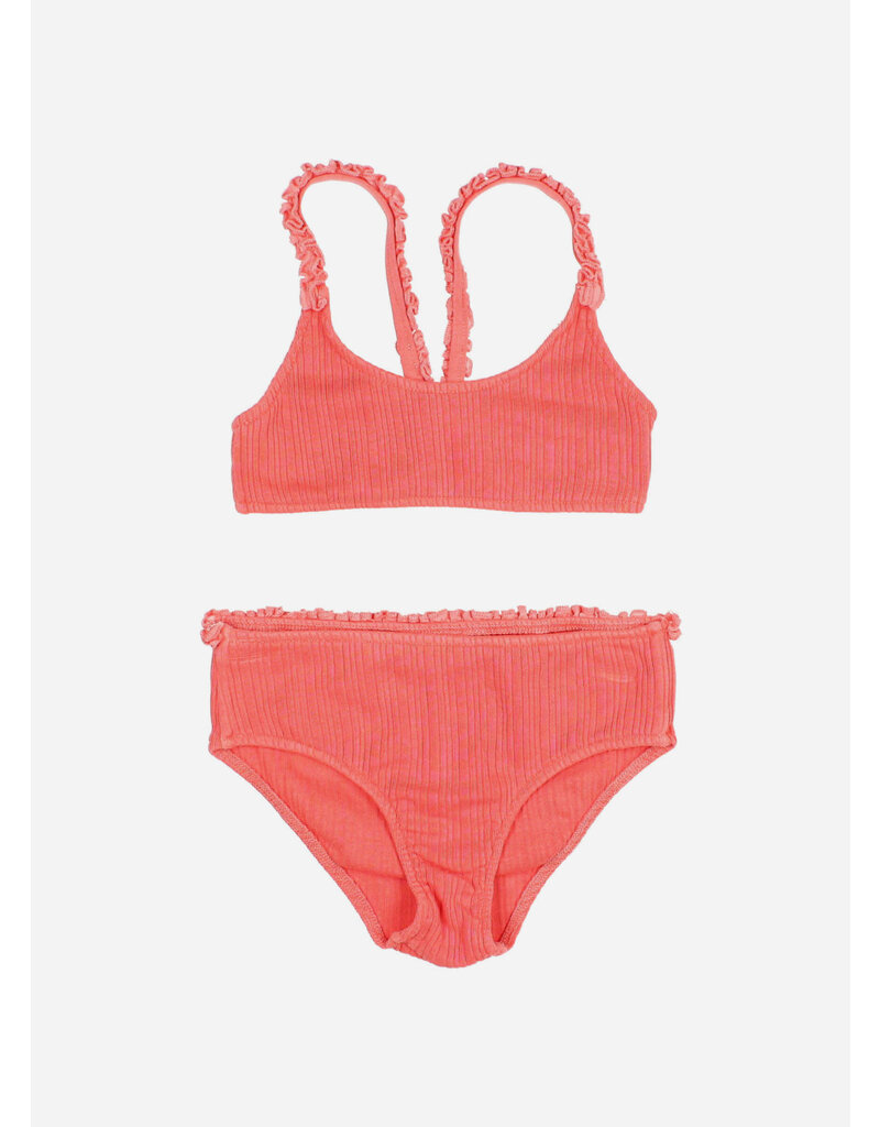 Buho rib bikini coral