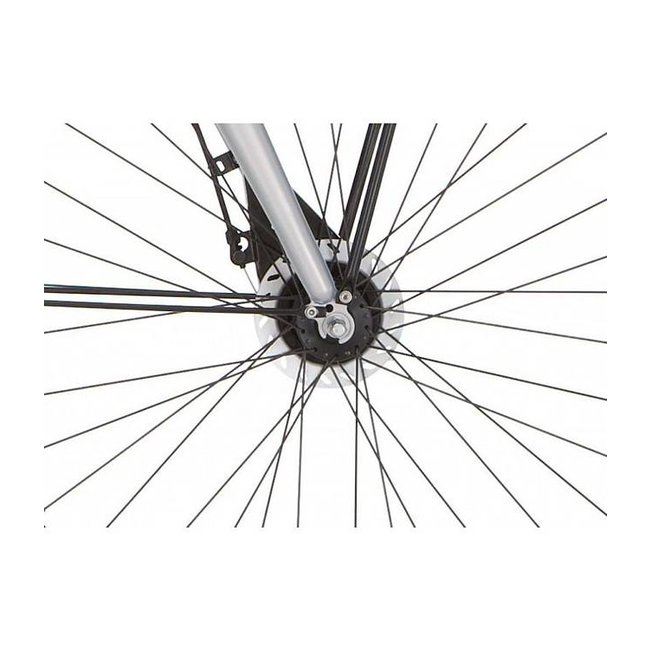 Giant City bike Corina grey