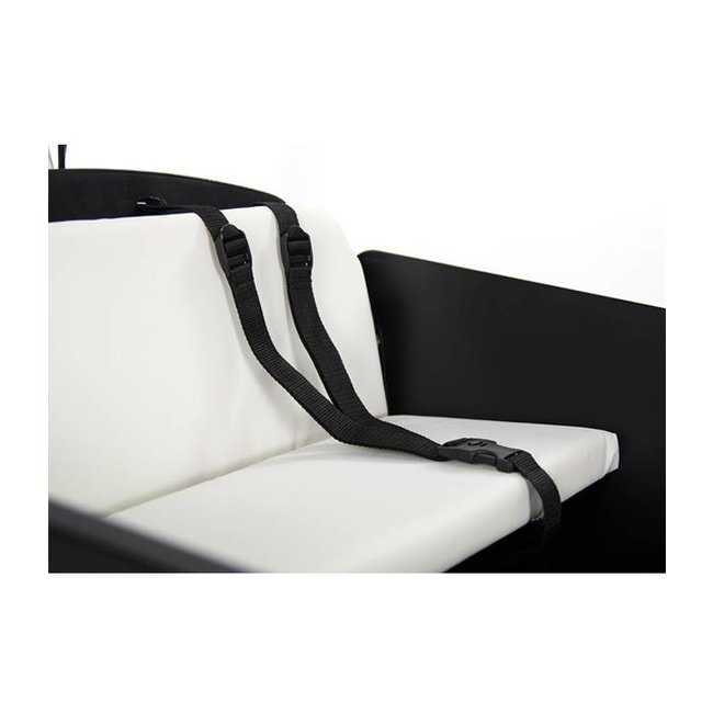 Gazelle Bakfiets Kruier