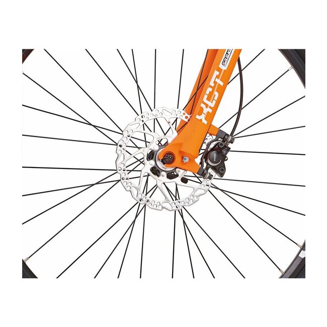 Gazelle REX oranje/wit