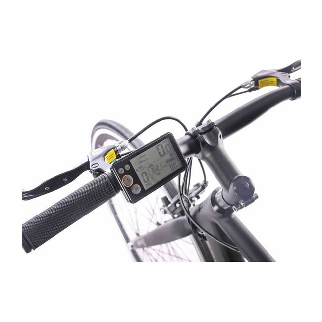 Giant Sport Simple zwart