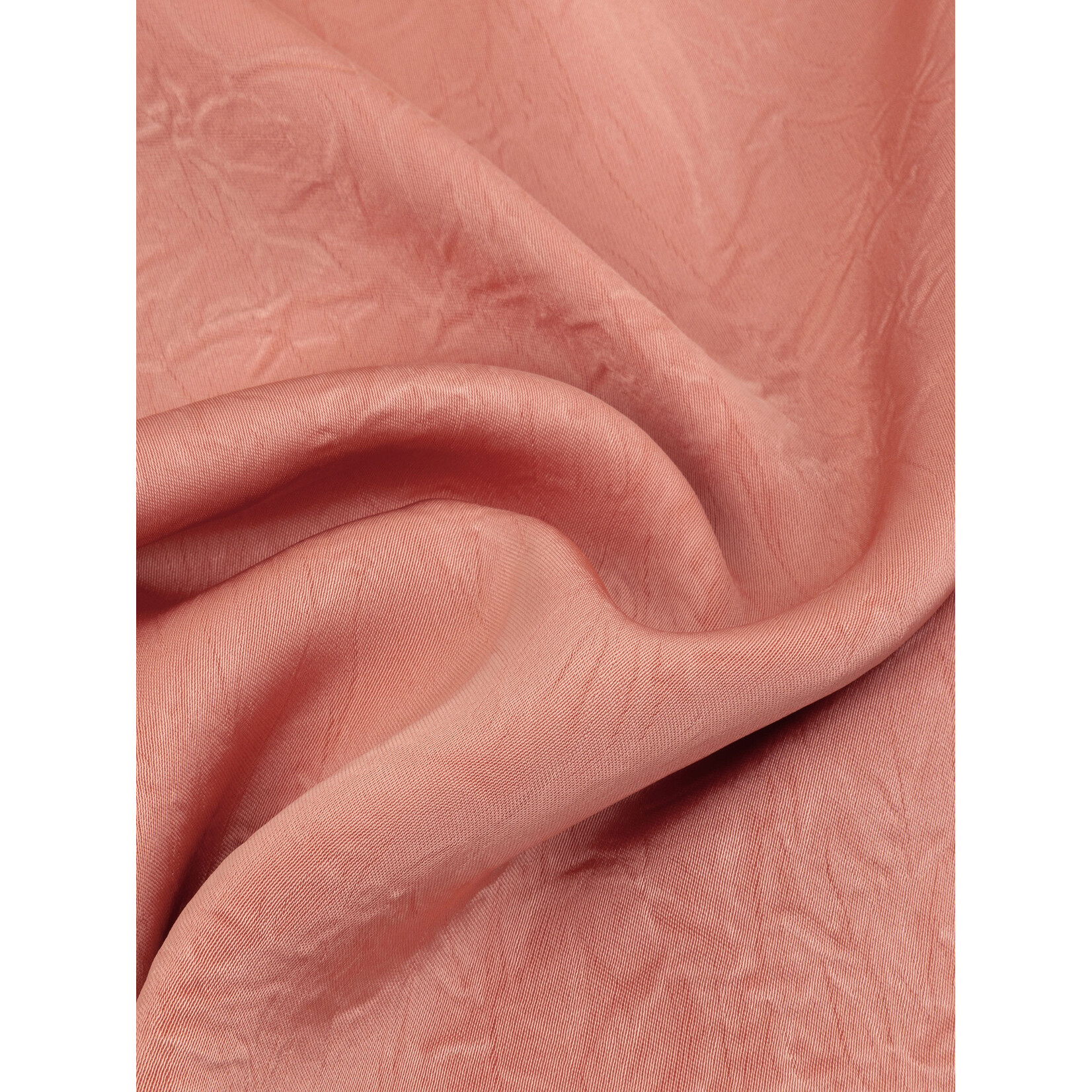 Ydence rok Barbara salmon