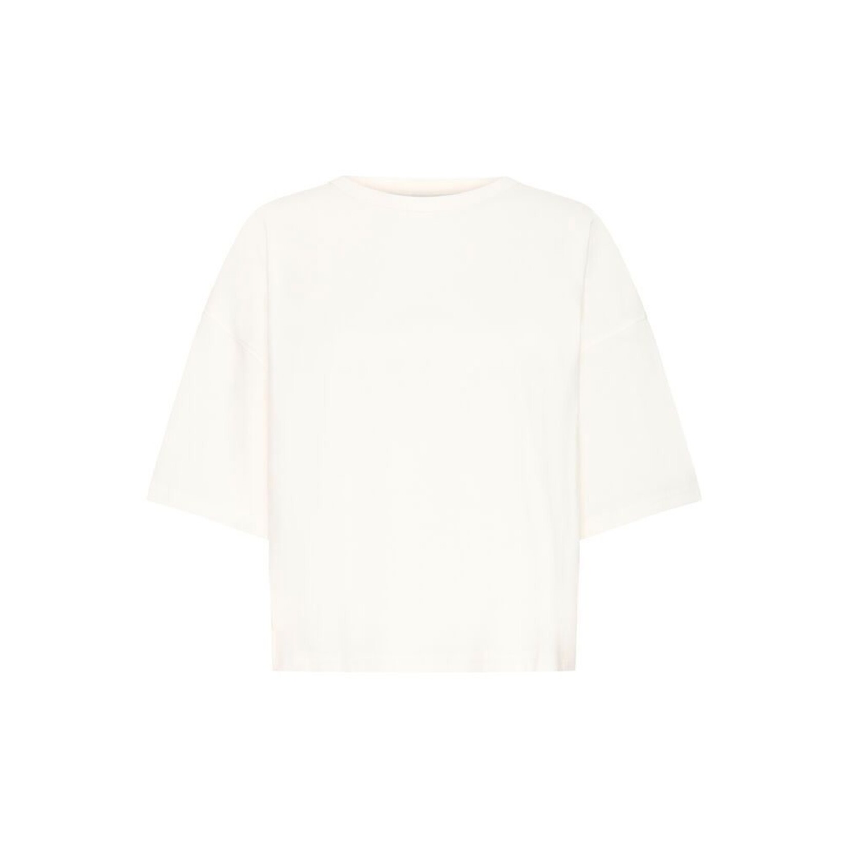 ICHI Ihpalmer t-shirt EX loose fit wit